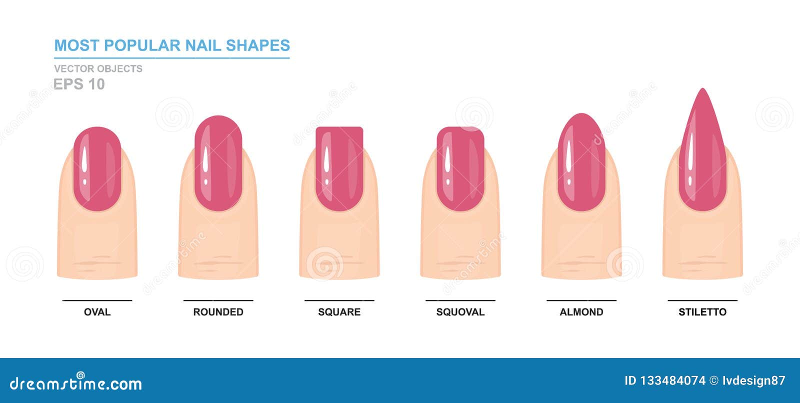 Different fashion nail shapes set kinds of nails Vector Image