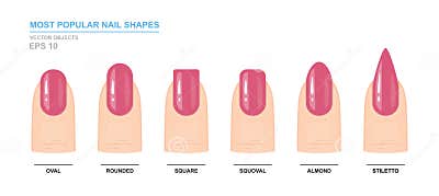 Most Popular Nail Shapes. Different Kinds of Nail Shapes Stock Vector ...