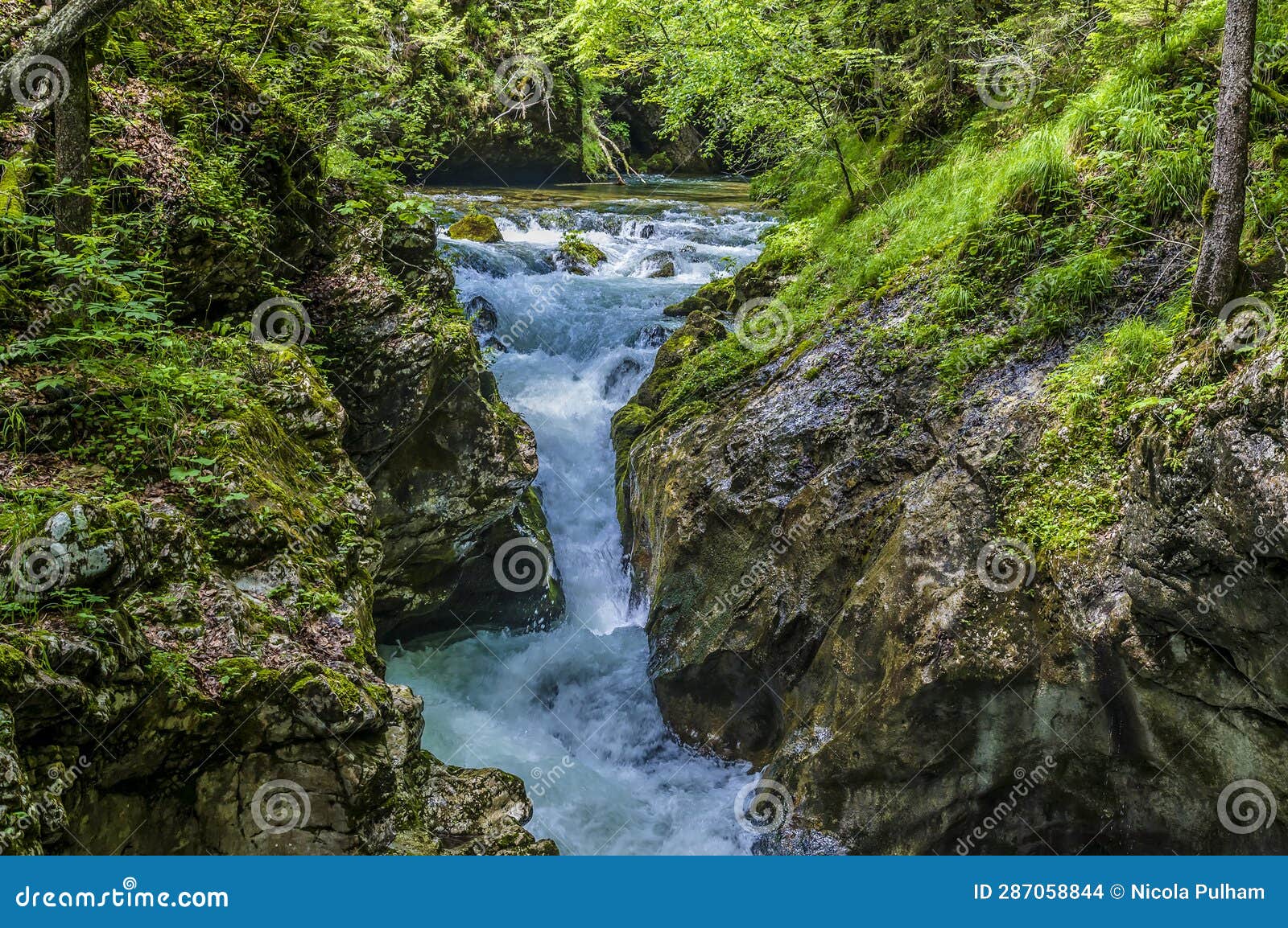 the mostnica river froths and splashes in a deep section of the mostnica gorge in slovenia