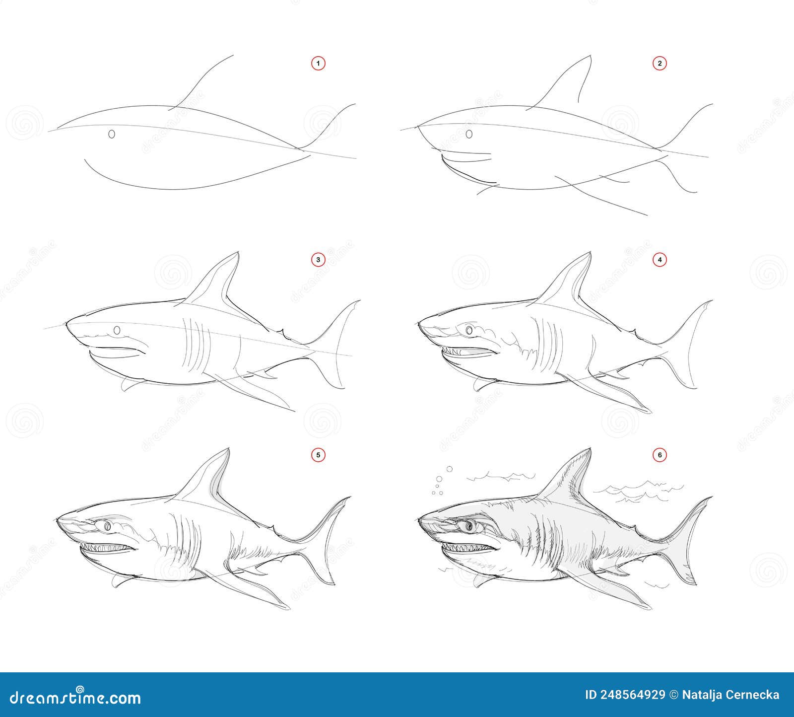 Desenhos de Tubarão - Como desenhar um Tubarão passo a passo