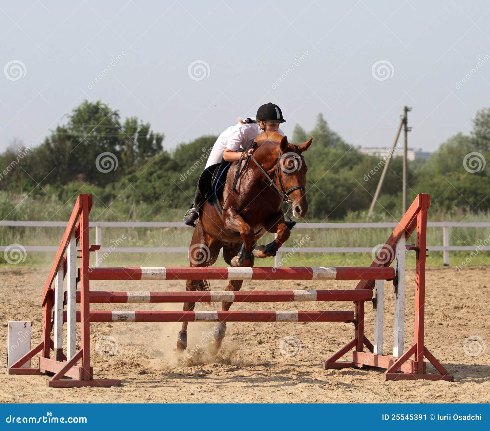 Mostri il salto. KHARKIV, UCRAINA - 23 GIUGNO: Partecipante non identificato della tazza di salto di esposizione di Konny Dvor del randello del cavallo, 23 giugno 2012 a Kharkiv, Ucraina