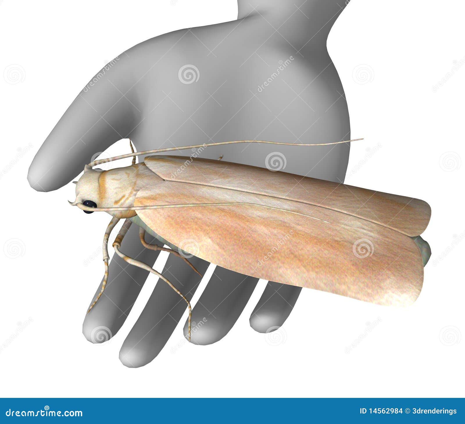 Moth stock illustration. Illustration of pose, character - 14562984