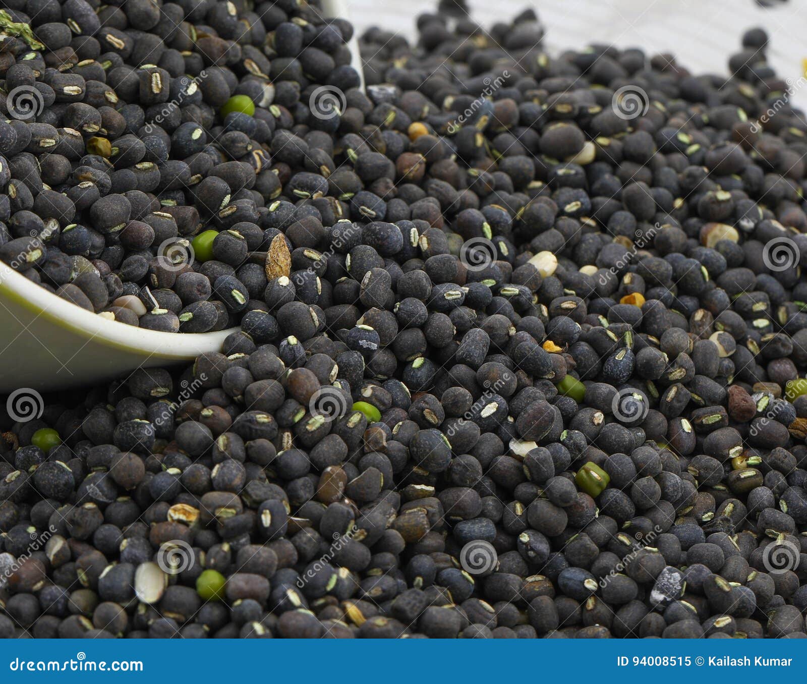 Moth Beans Vigna Aconitifolia Stock Image Image of gram, harvest