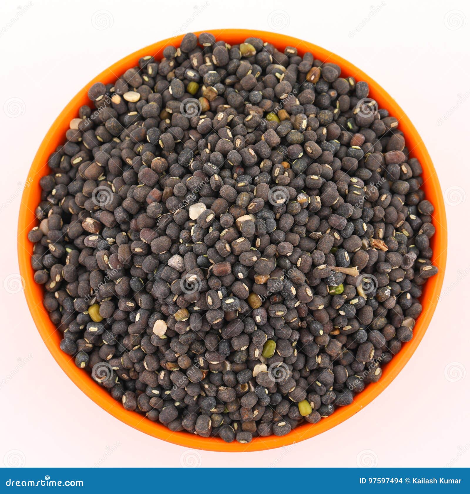 Moth Beans Vigna Aconitifolia Stock Photo Image of grain, nutrient