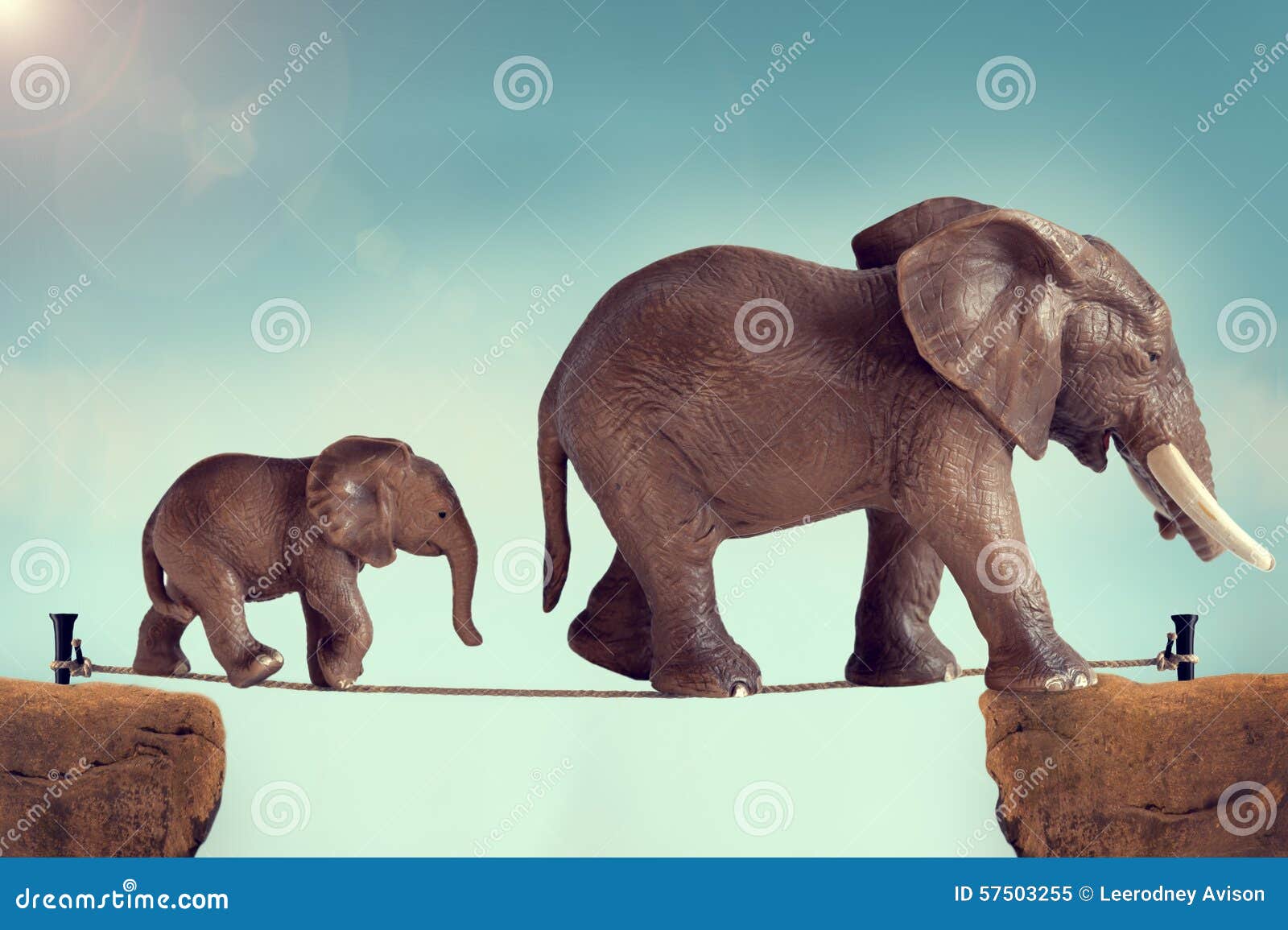 Mother And Baby Elephant On A Tightrope Stock Image Image Of Danger Animal