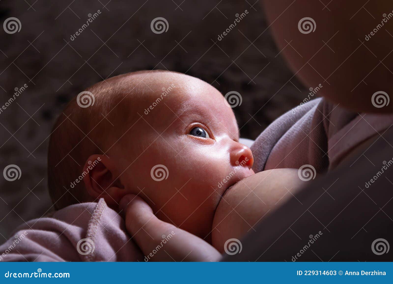 Mother Breastfeeding Newborn Baby Girl. Top View. Stock Image - Image of  breastfeeding, infant: 229314603