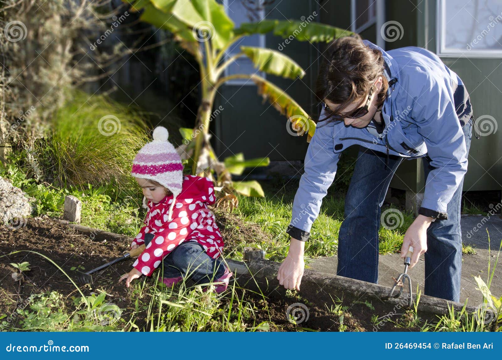 Mother and Child Works in the Garden Stock Photo Image of natural