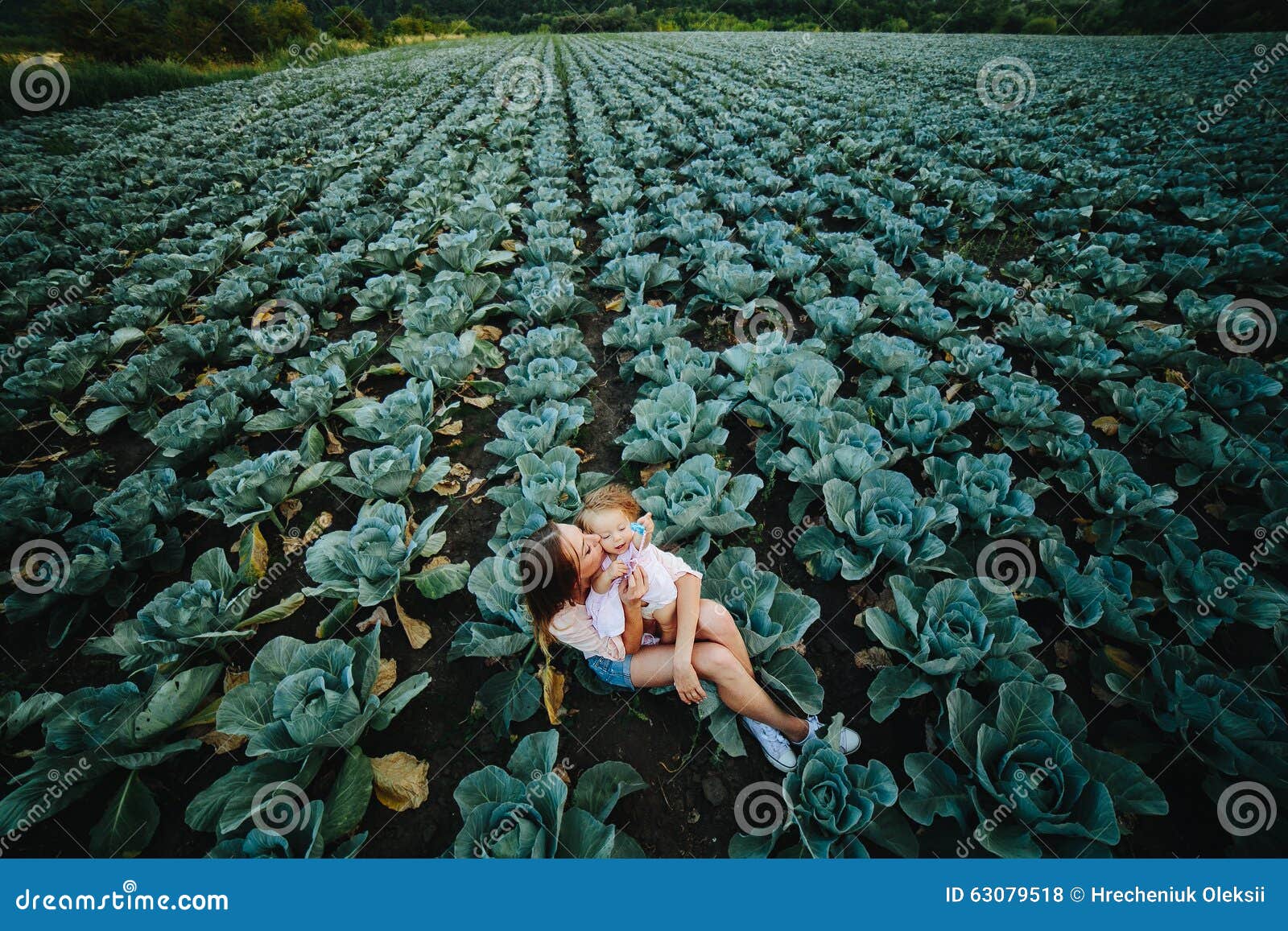 Mother and Daughter on the Field with Cabbage Stock Photo Image of