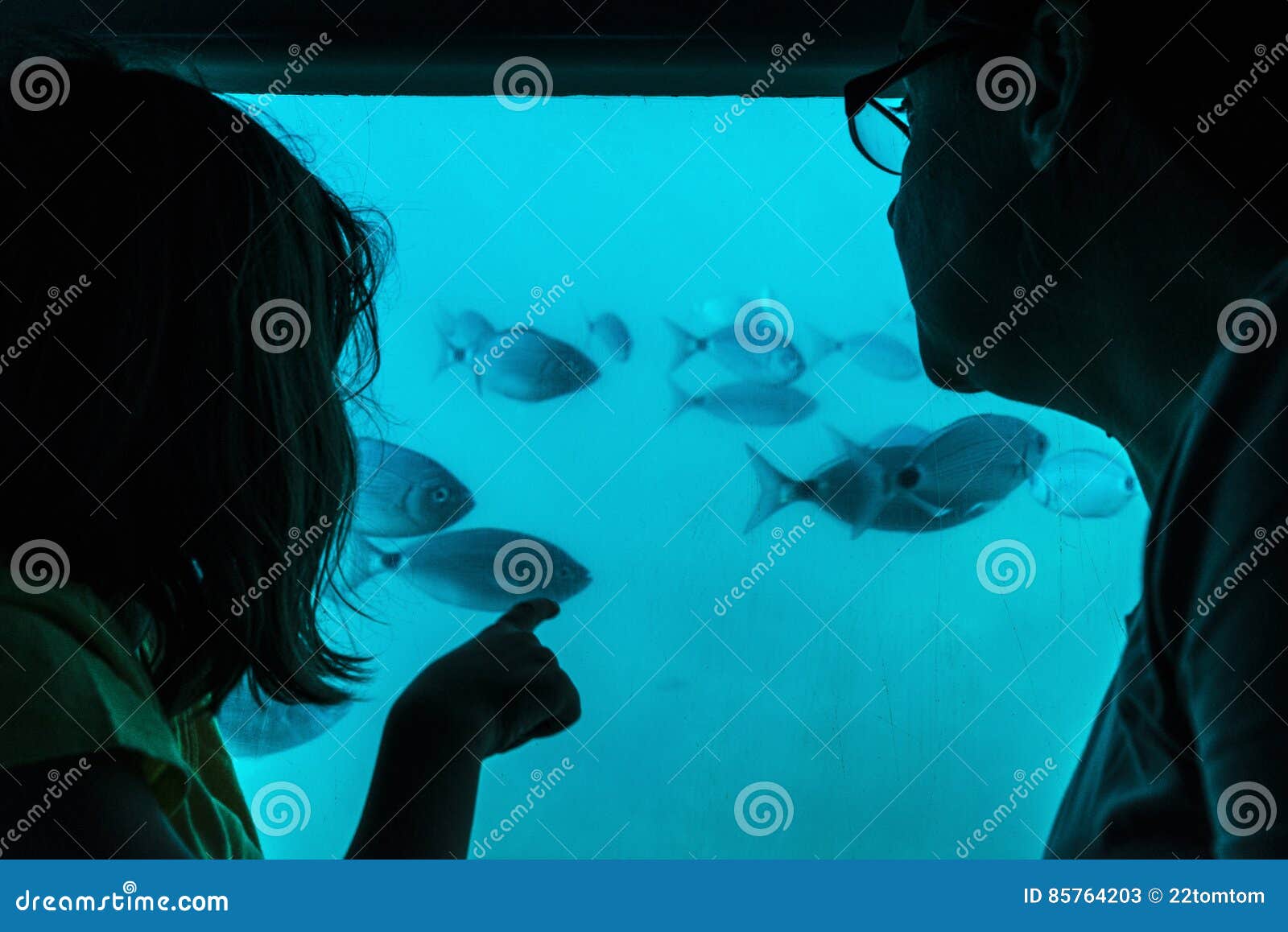 mother and daughter looking at fish through a glass in a boat
