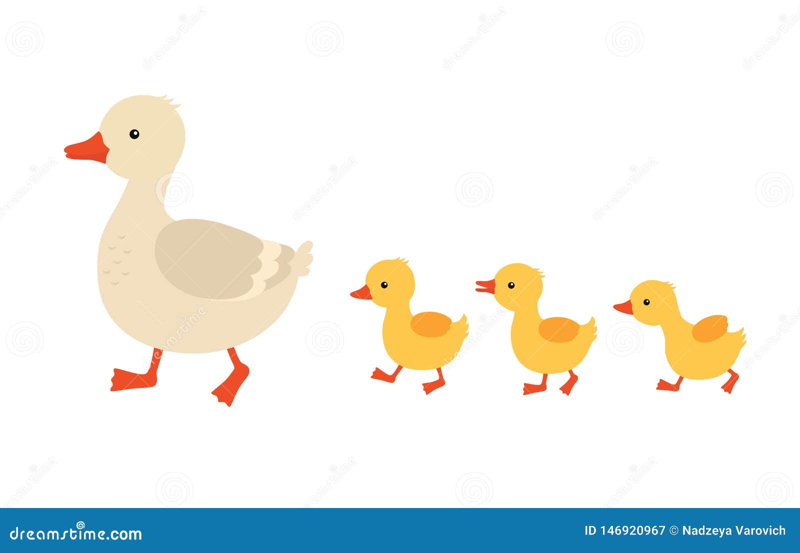 Mother Duck Stock Illustrations – 1,588 Mother Duck Stock Illustrations,  Vectors & Clipart - Dreamstime