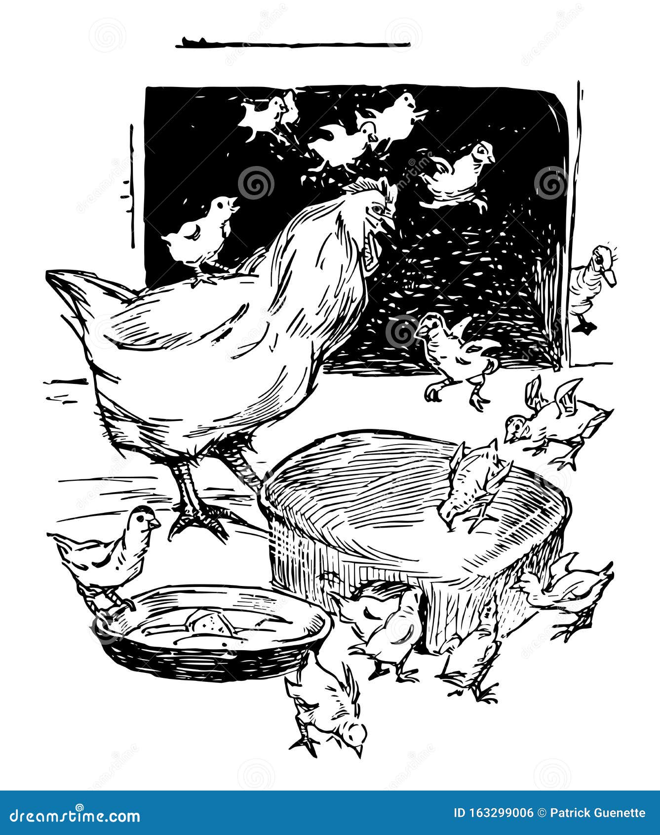 Mother Hen & Baby Chicks, Vintage Illustration Stock ...