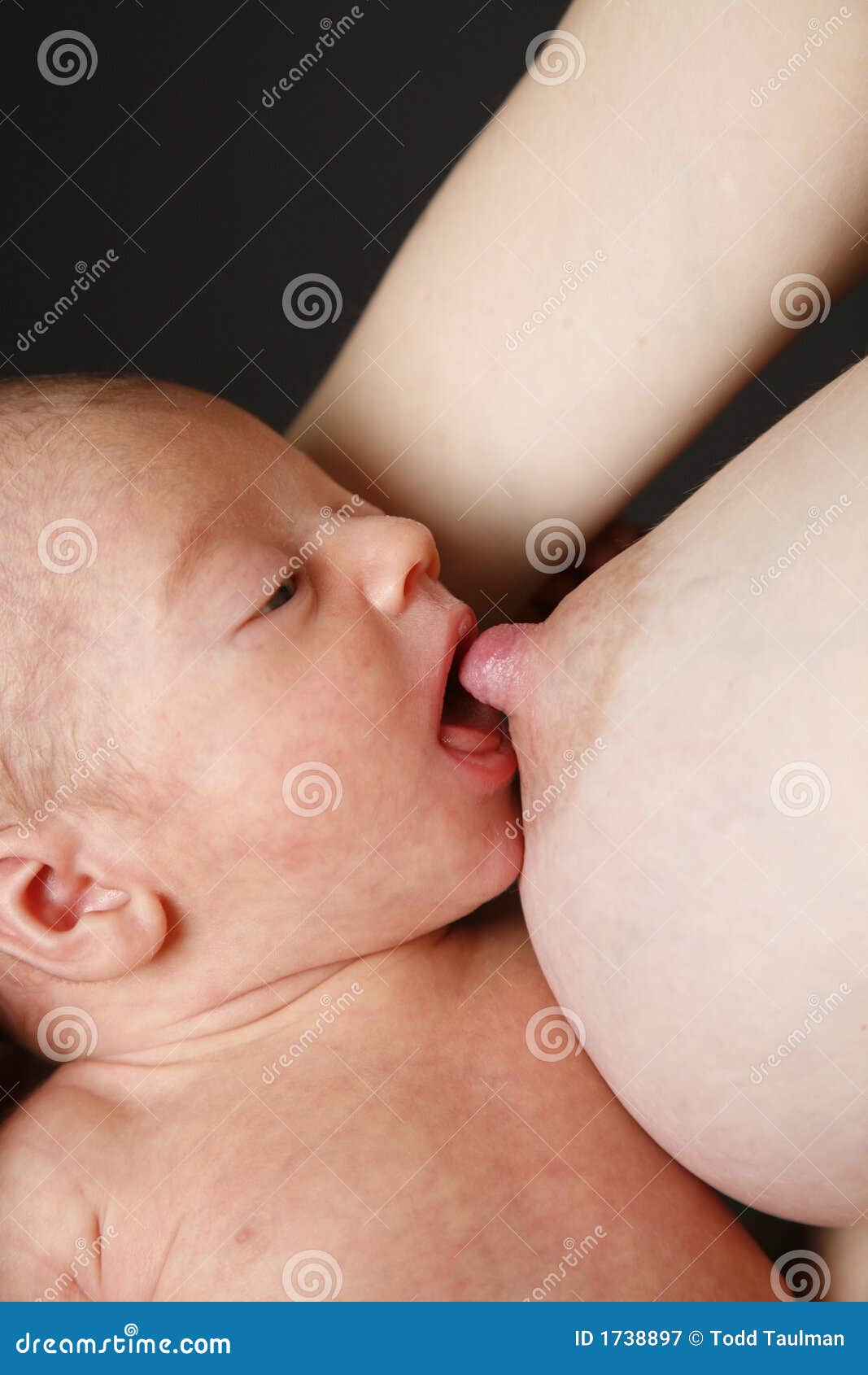 �������� ������ ������� ������ ����� ���� ��� ��������� ����