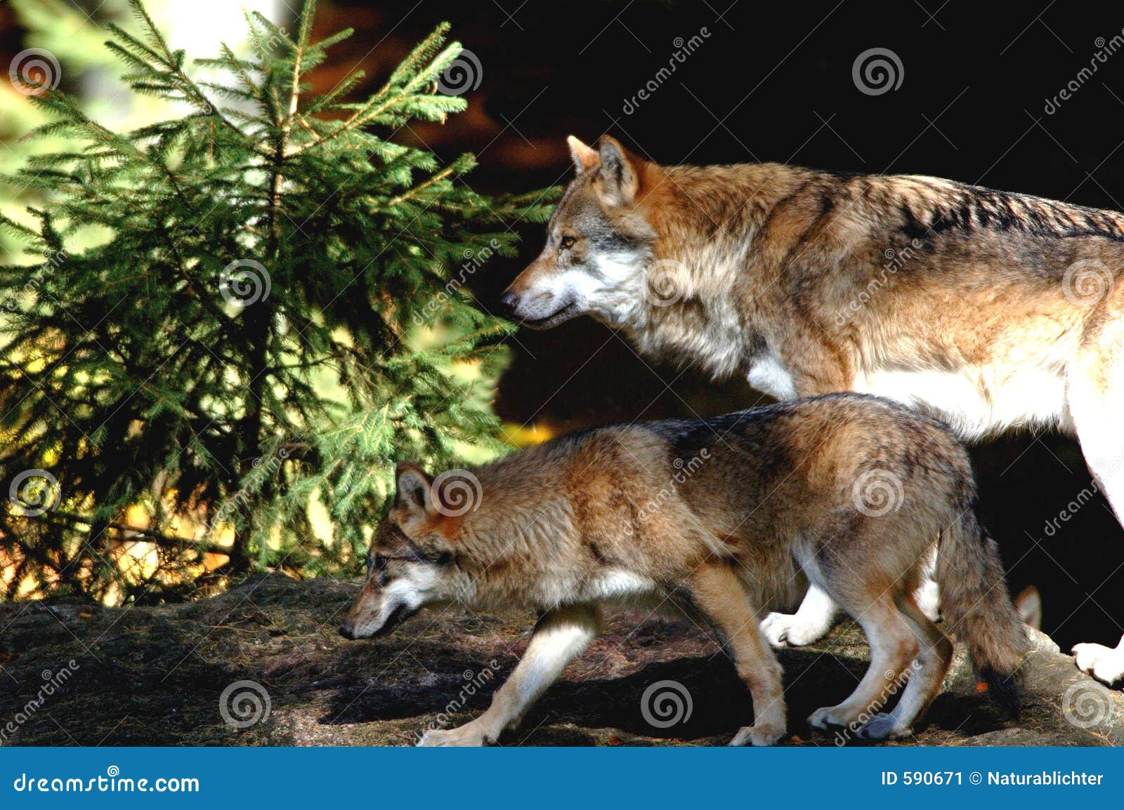 Mother and son on rock stock image. Image of girl, elementary - 590671