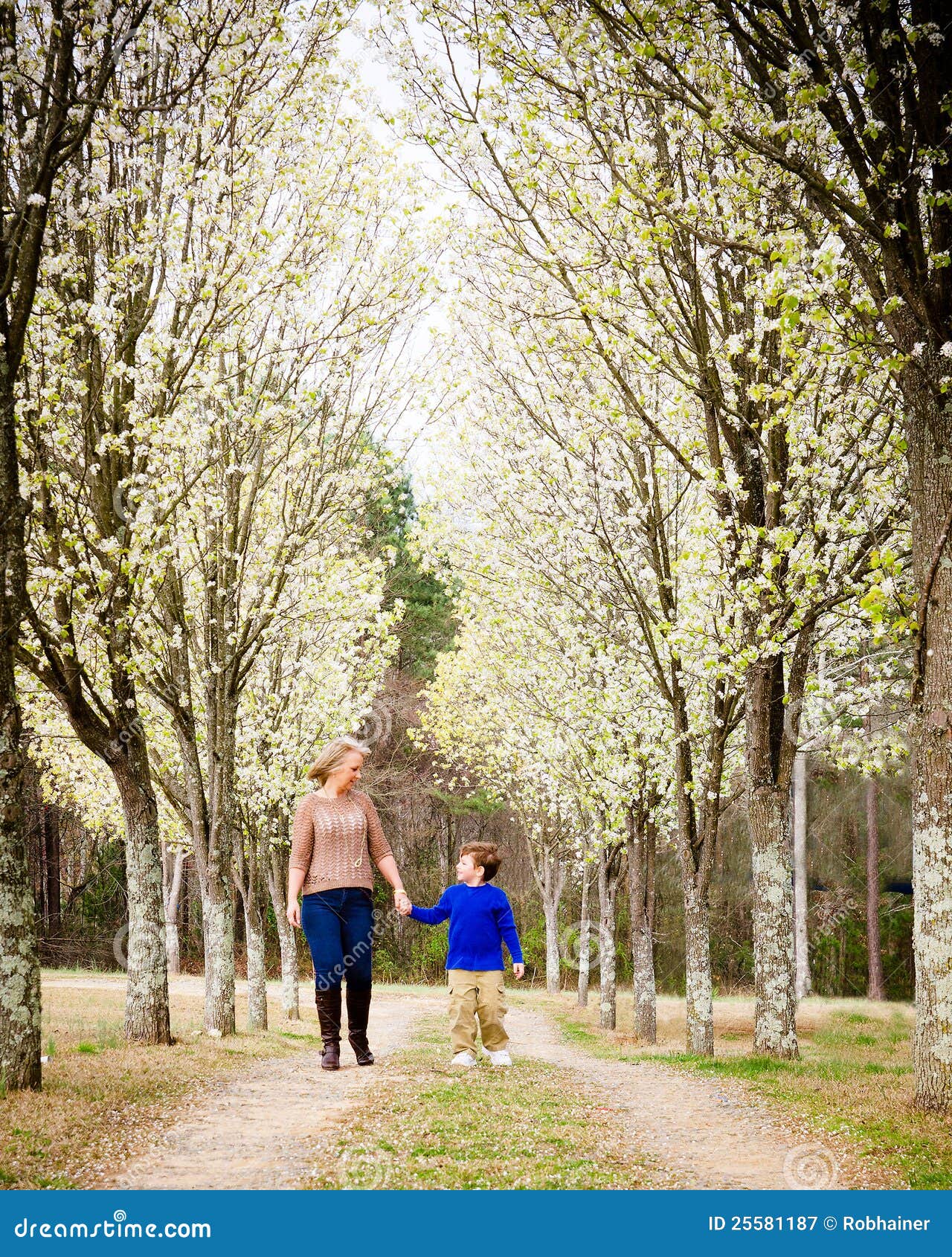 Mother and Son Walking Hand in Hand at Park Stock Image Image of