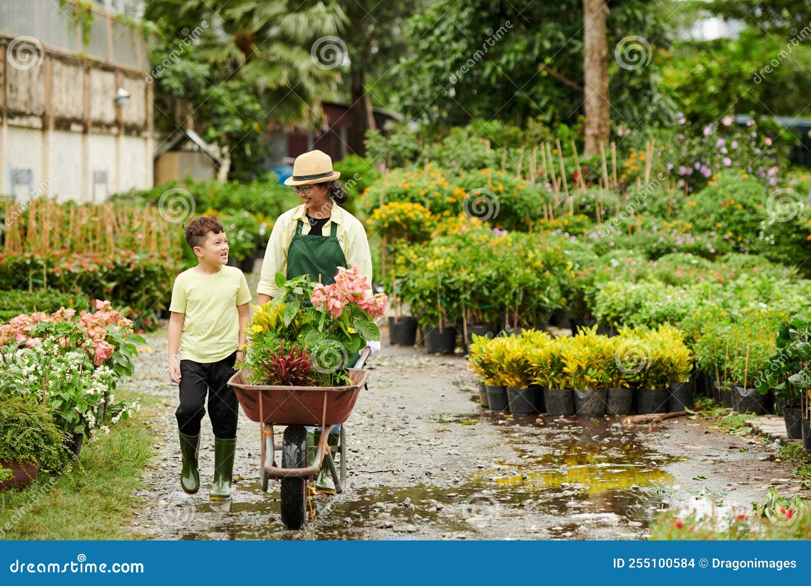 Mother and Son Working at Flower Nursery Stock Photo Image of working