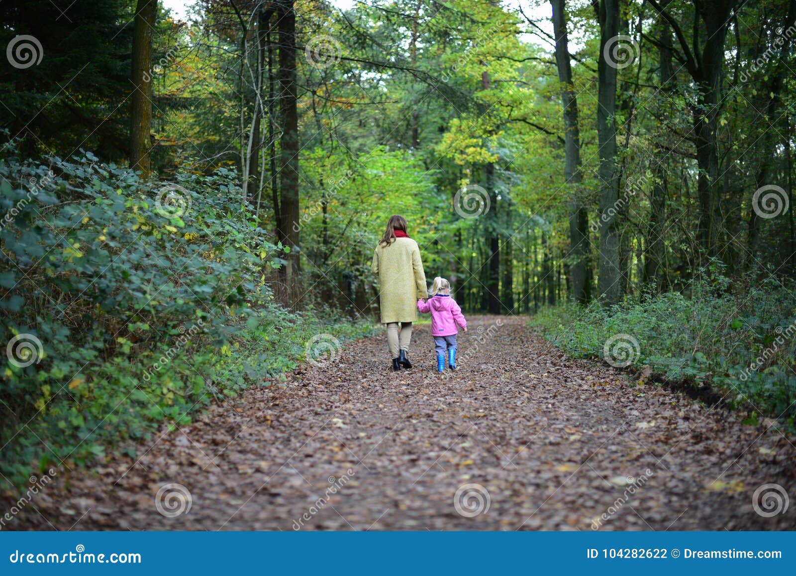 daughter of the forest book daughter of the forest book