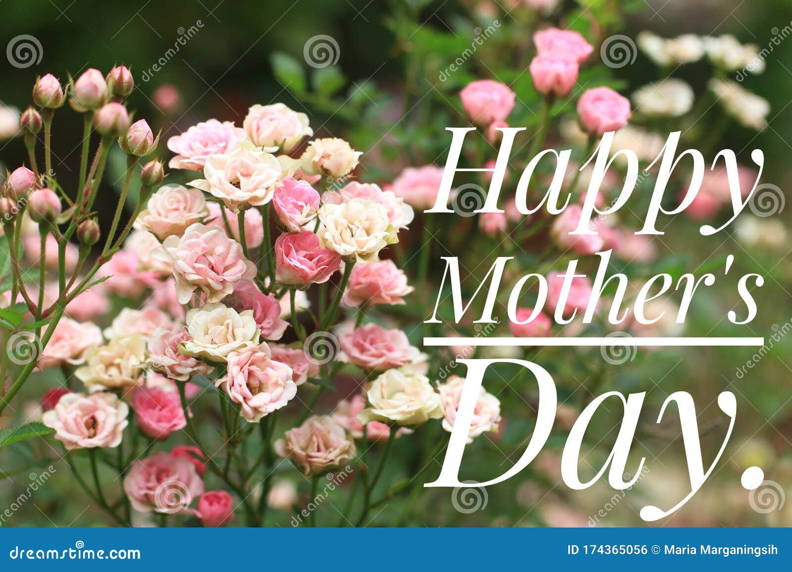 104 Mothers Day Happy Saying Stock Photos - Free & Royalty-Free ...