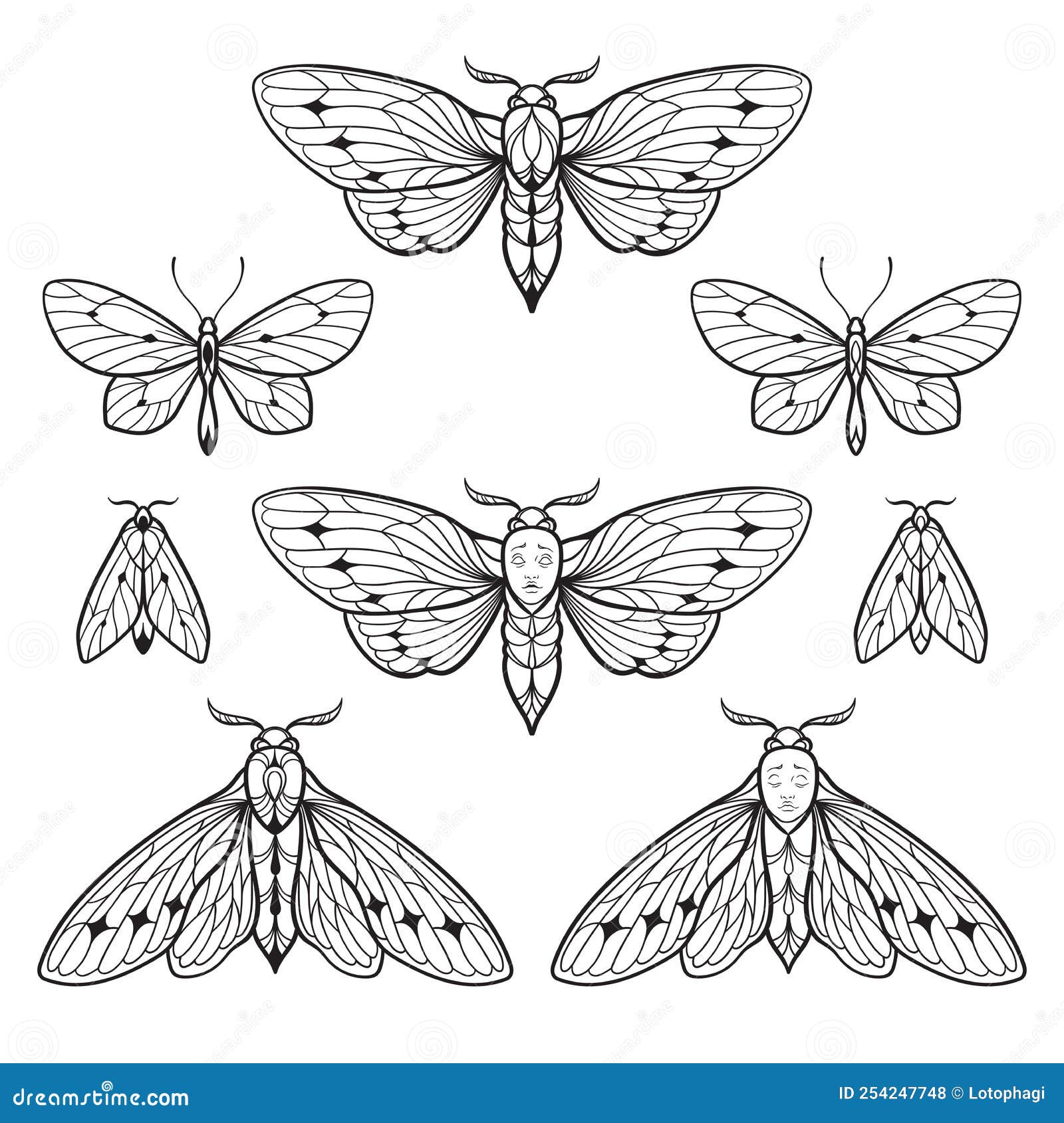 Butterfly  Moth Tattoo Designs  Ideas  Cloak  Dagger London