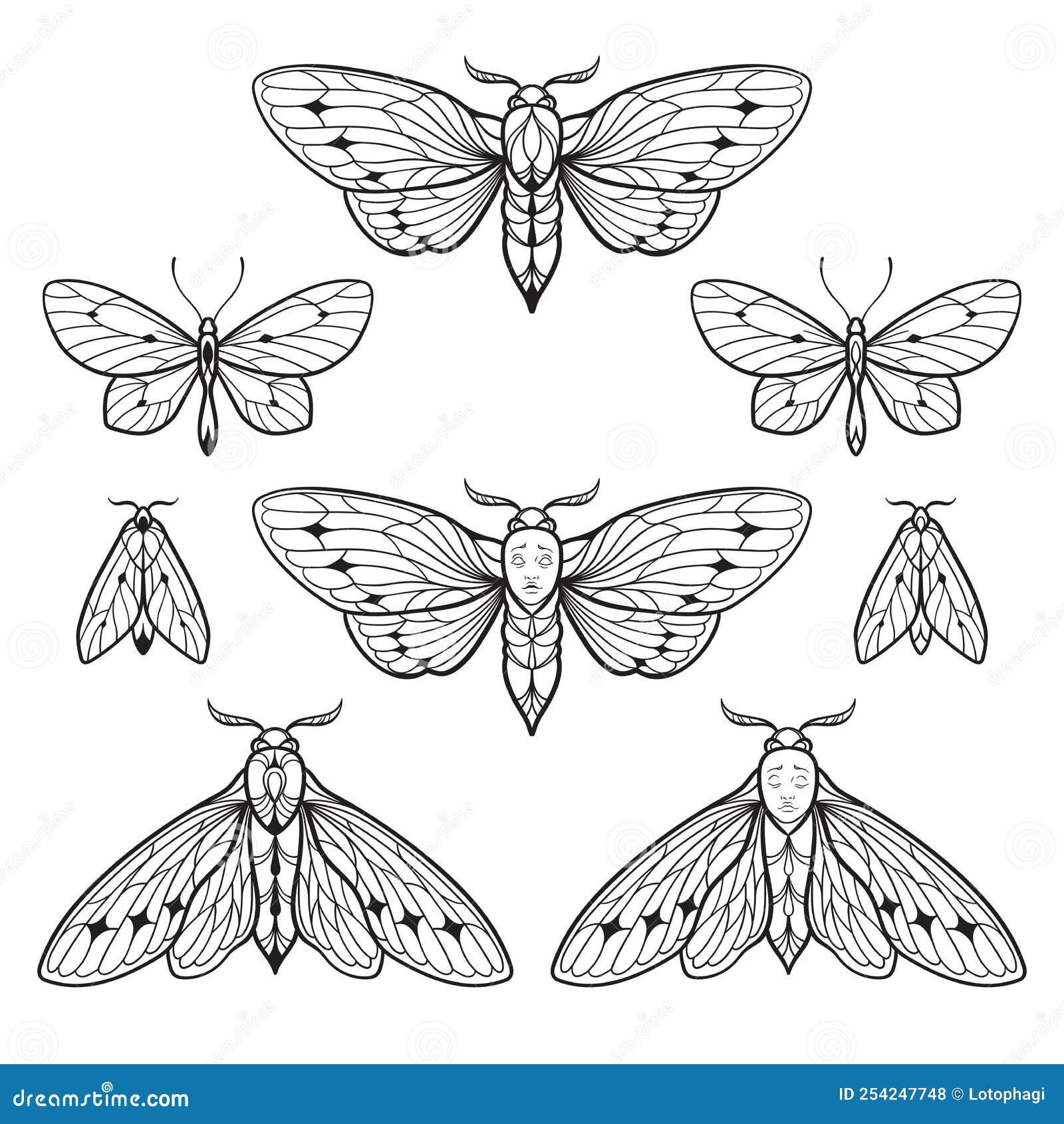 Amazoncom  SanerLian Butterfly Temporary Tattoo Sticker Moth Insect Fake  Tatoo Women Girls Chest Back Arm Body Art 105X6cm Set of 12  Beauty   Personal Care