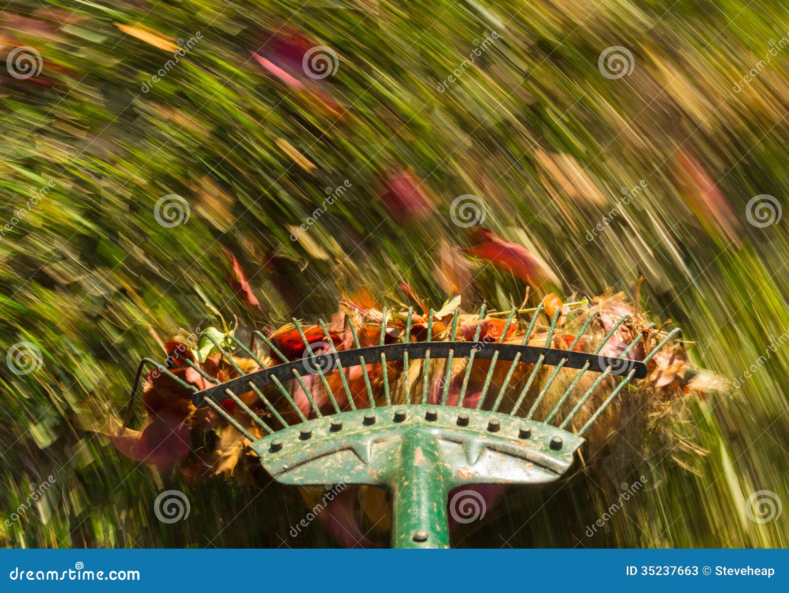 Motieonduidelijk beeld op de groene bladeren van de gazonhark. Het motieonduidelijke beeld leidde wanneer de oude groene gazonhark door de bladeren op groen gazon met een nadruk op het hulpmiddel als gras wordt bewogen en falled tot het onduidelijke beeld van de herfstbladeren met beweging om het werk voor te stellen