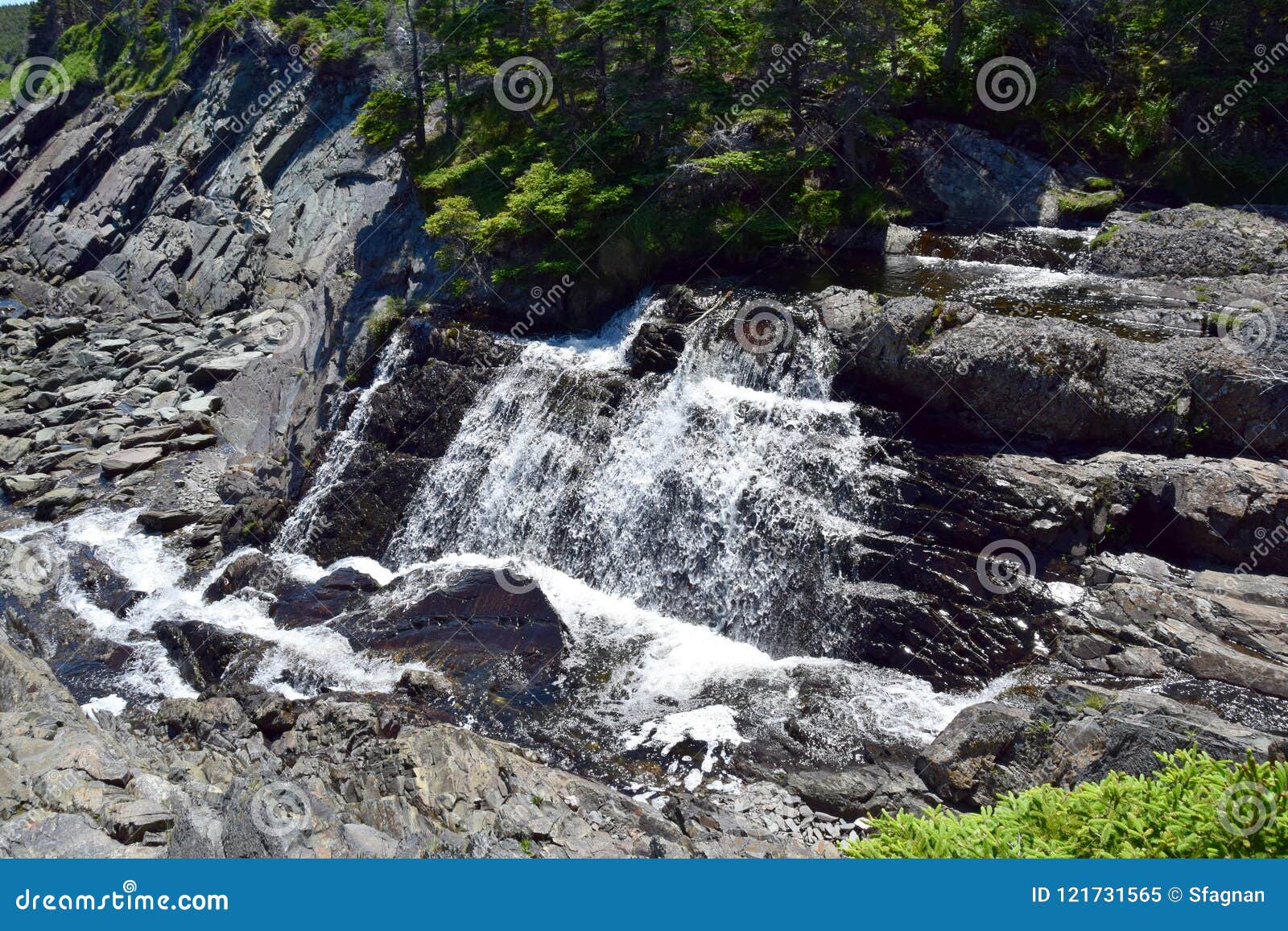Motion River Cascade Waterfall Torbay NL Stock Image Image of outdoor