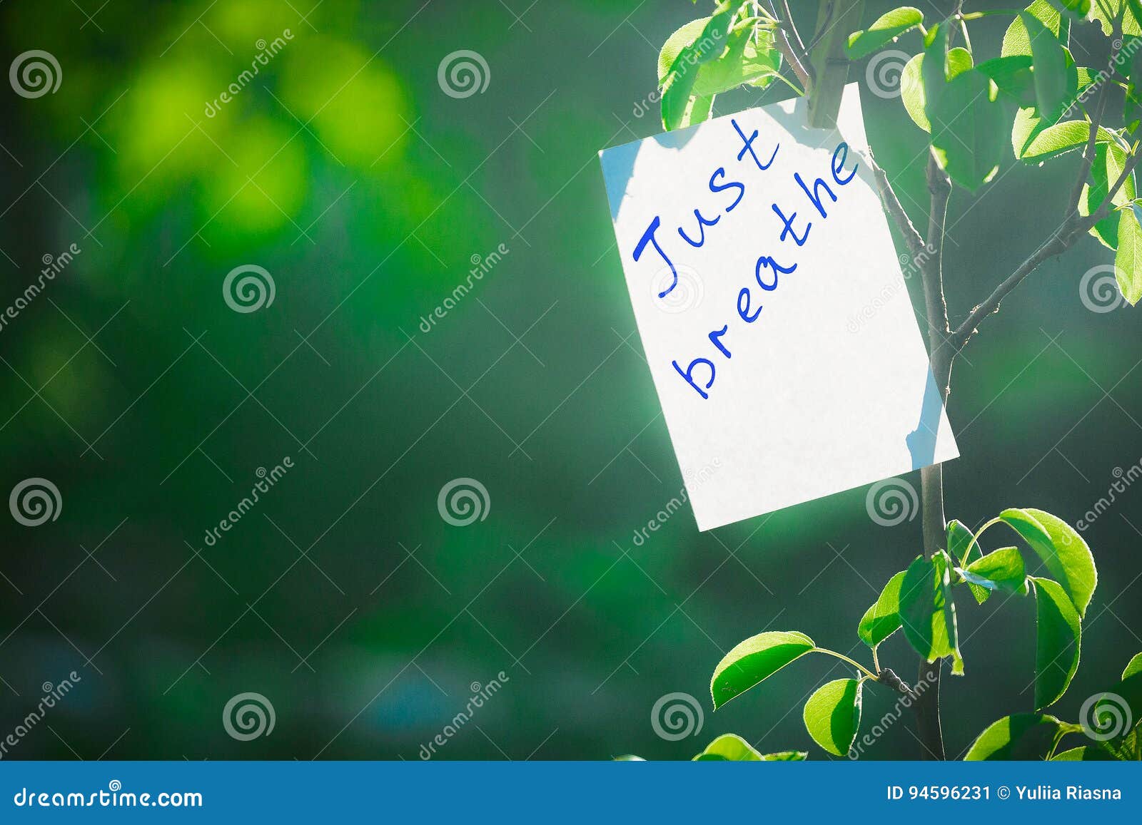 motivating phrase just breathe. on a green background on a branch is a white paper with a motivating phrase.