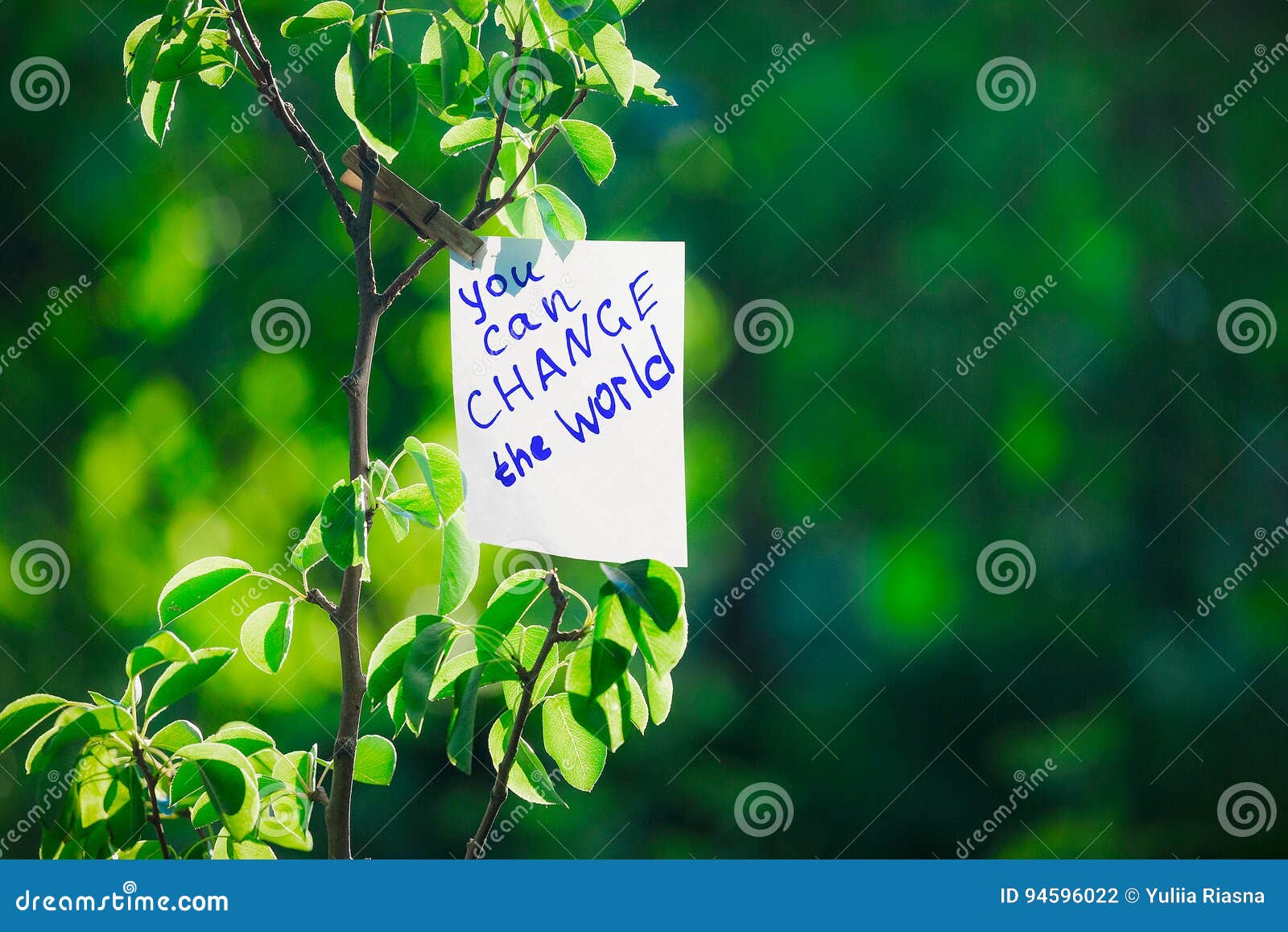 motivating phrase you can change the world. on a green background on a branch is a white paper with a motivating phrase