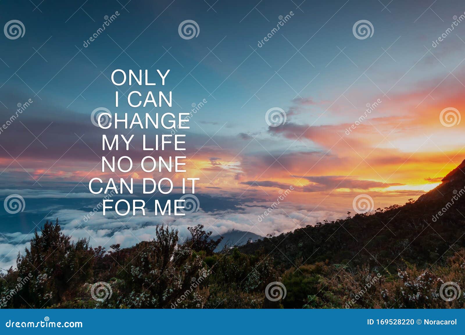 Inspirational Quotes - only I Can Change My Life No One Can Do it for Me.  Blurry Nature Background Stock Photo - Image of motivating, background:  169528220