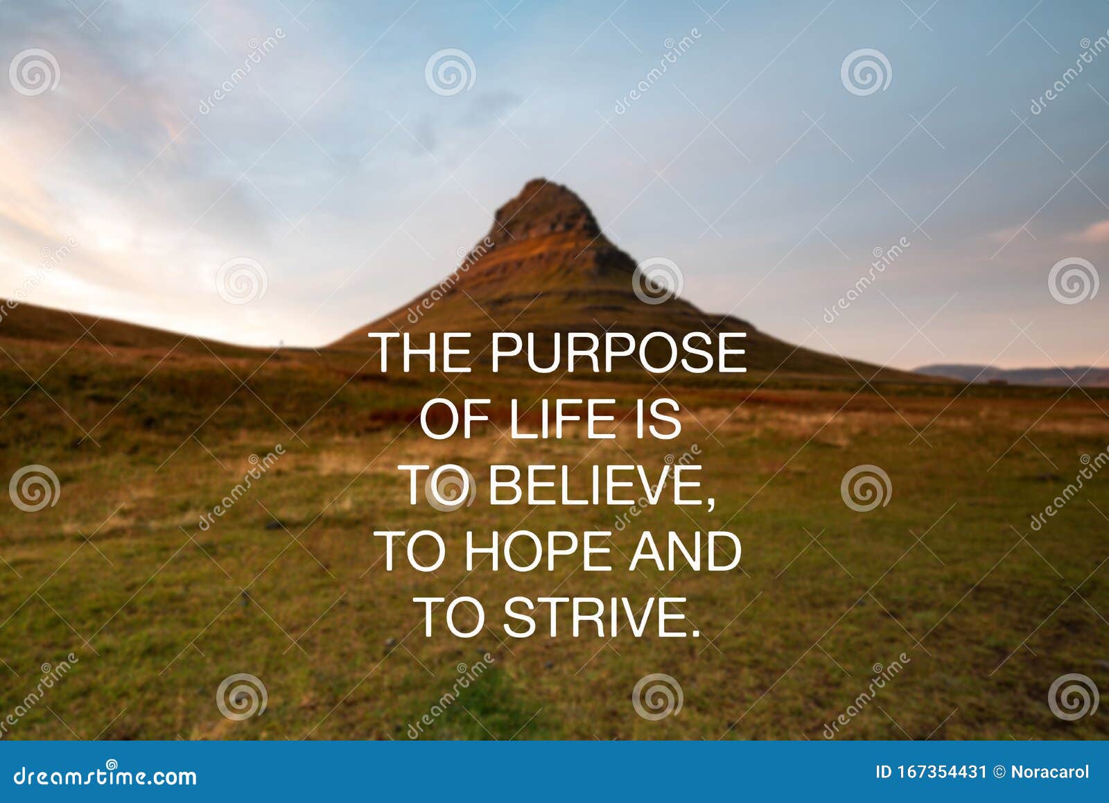 Inspirational Quotes - the Purpose of Life is To Believe, To Hope ...