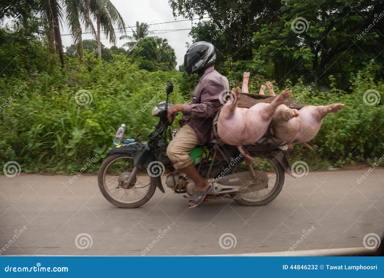 Motor Bike Cambodia Editorial Photography Image 44846232