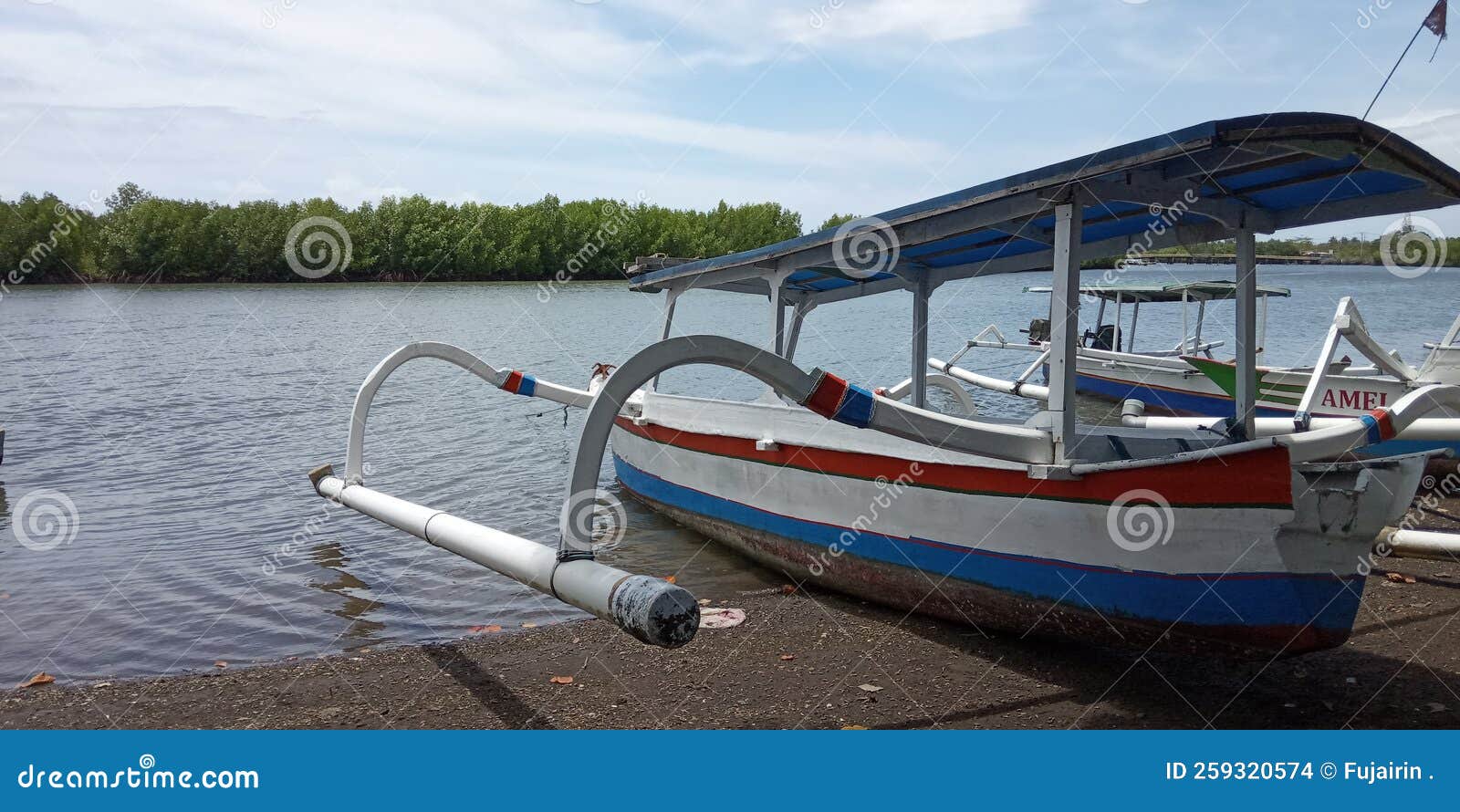 Motor Boat with Mangrove Ecosystem Stock Photo Image of vehicle