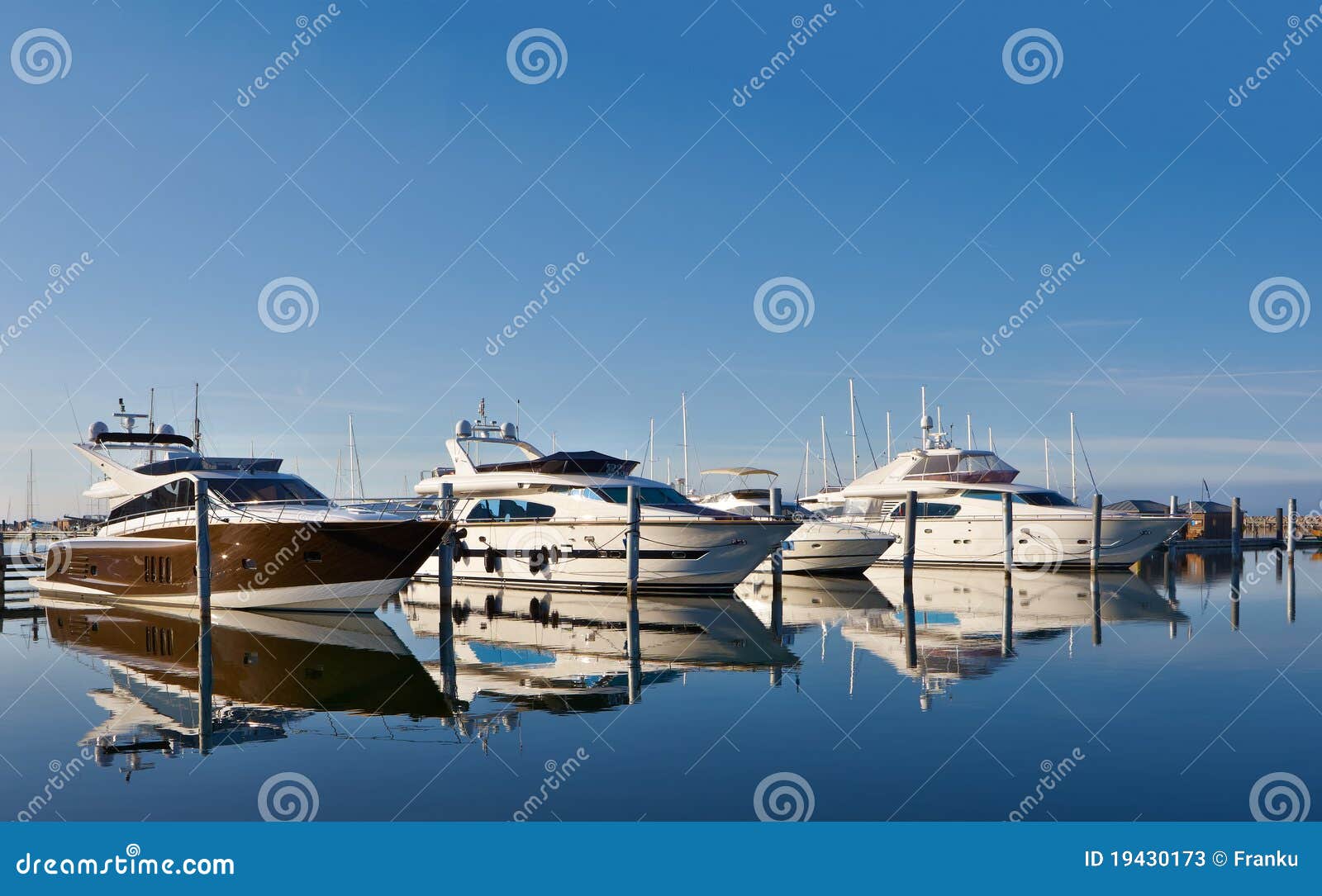 motor yachts in marina