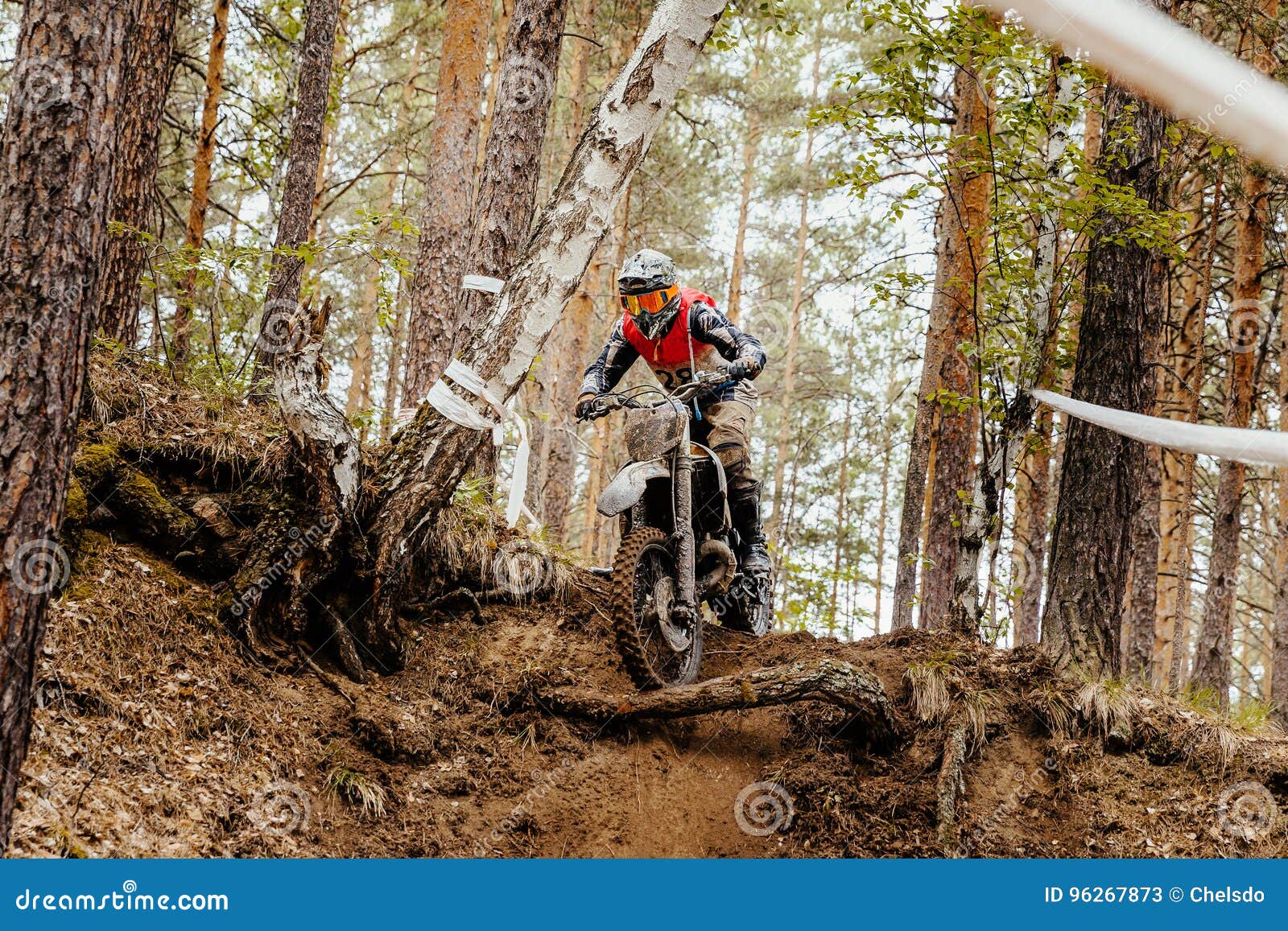 Motorcycle enduro racing stock image. Image of forest 96267873