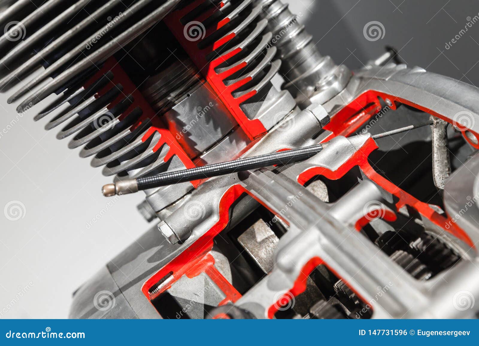 128 Cc Model Photos Free Royalty Free Stock Photos From Dreamstime