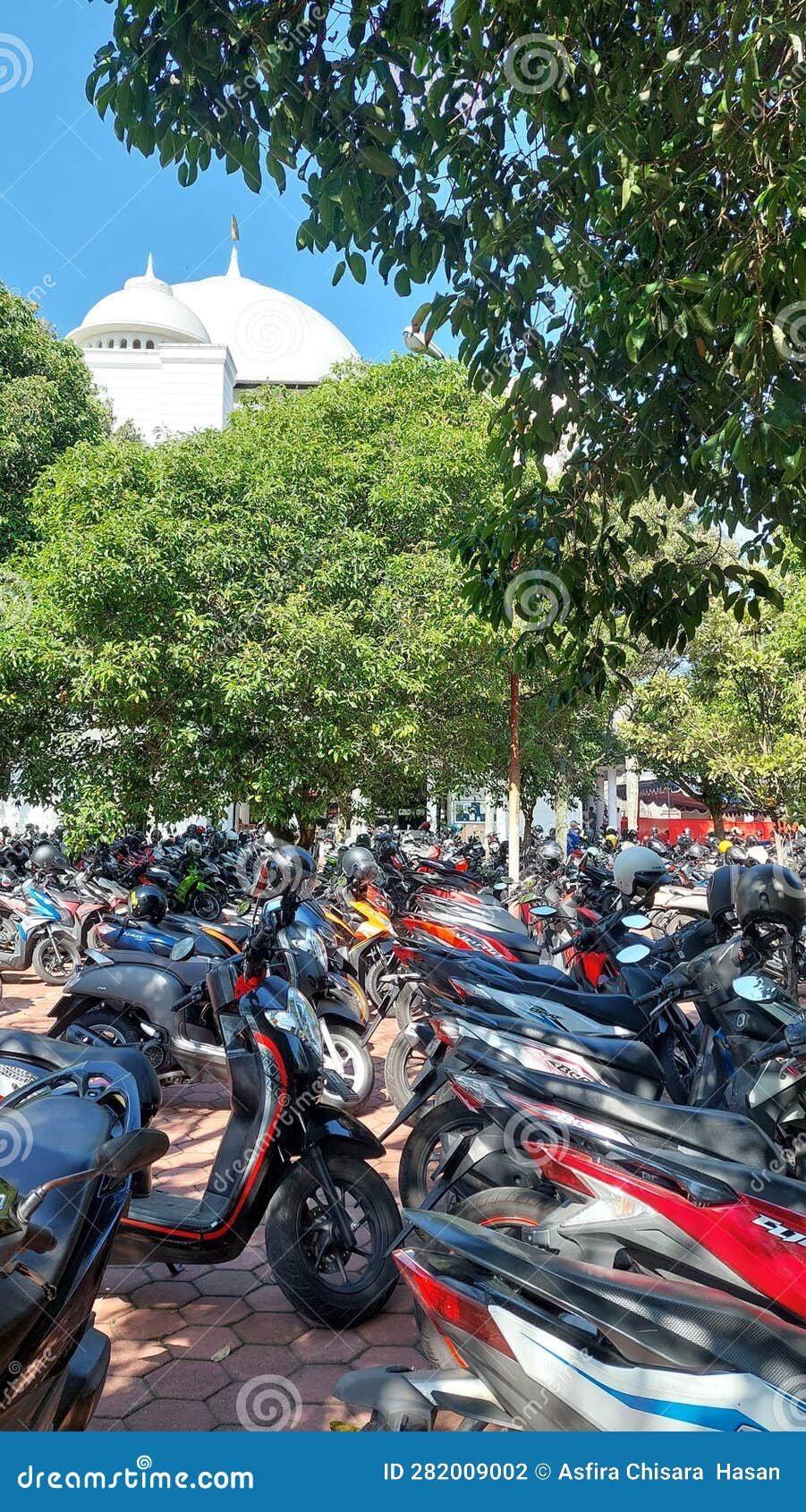 Motorcycle Parking Lots with Green Trees Editorial Photography Image