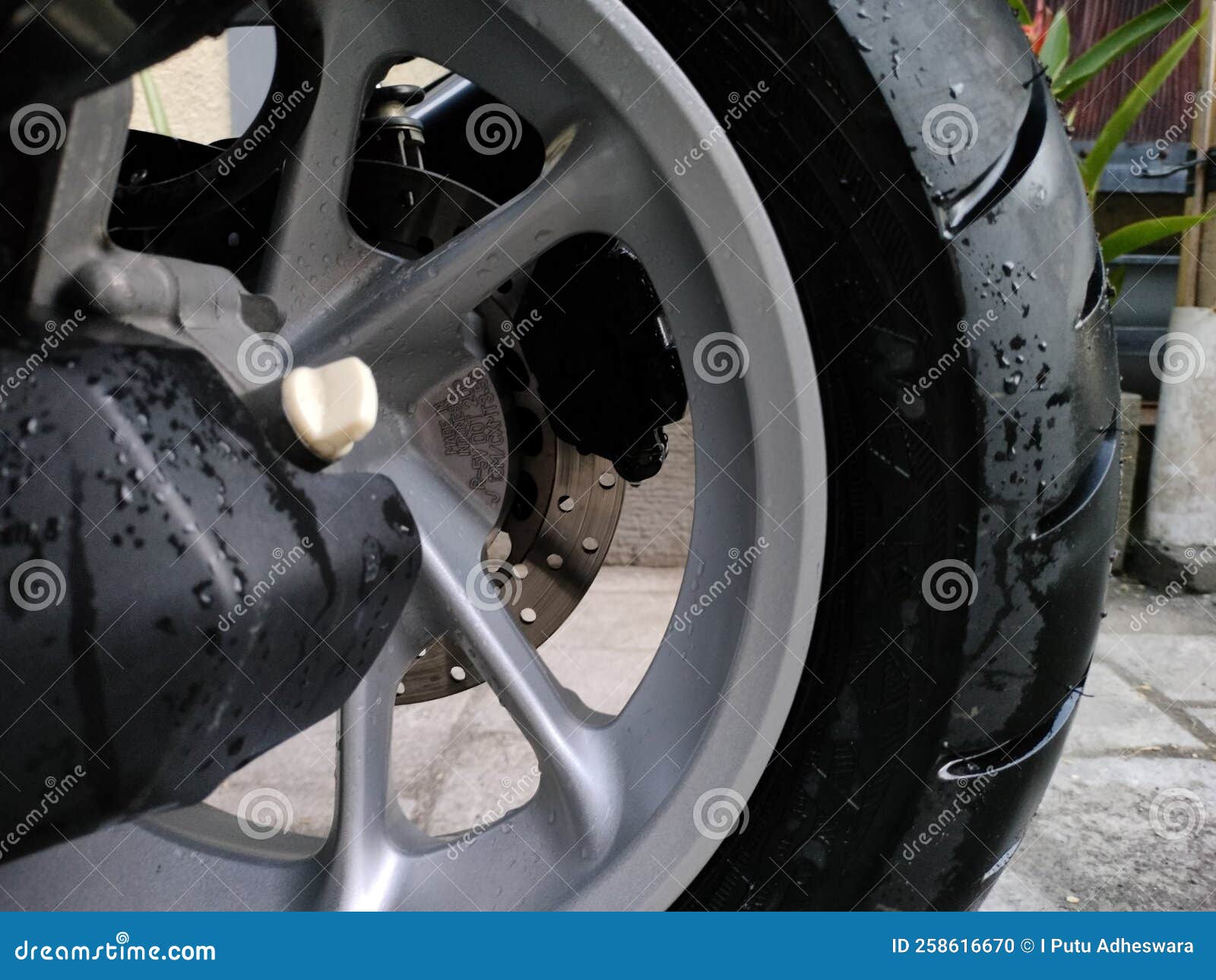 Automatic Motorcycle Rear Tire Stock Photo Image of motorcycles