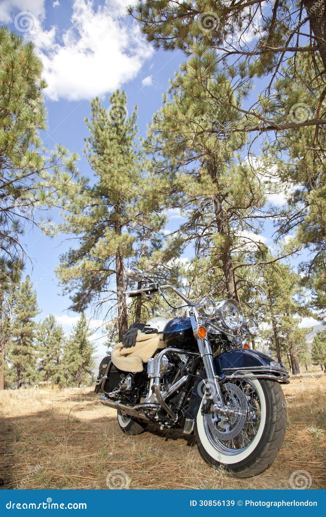 Motorcycle with Riding Gloves and Jacket in Forest Setting Editorial Stock Image Image of
