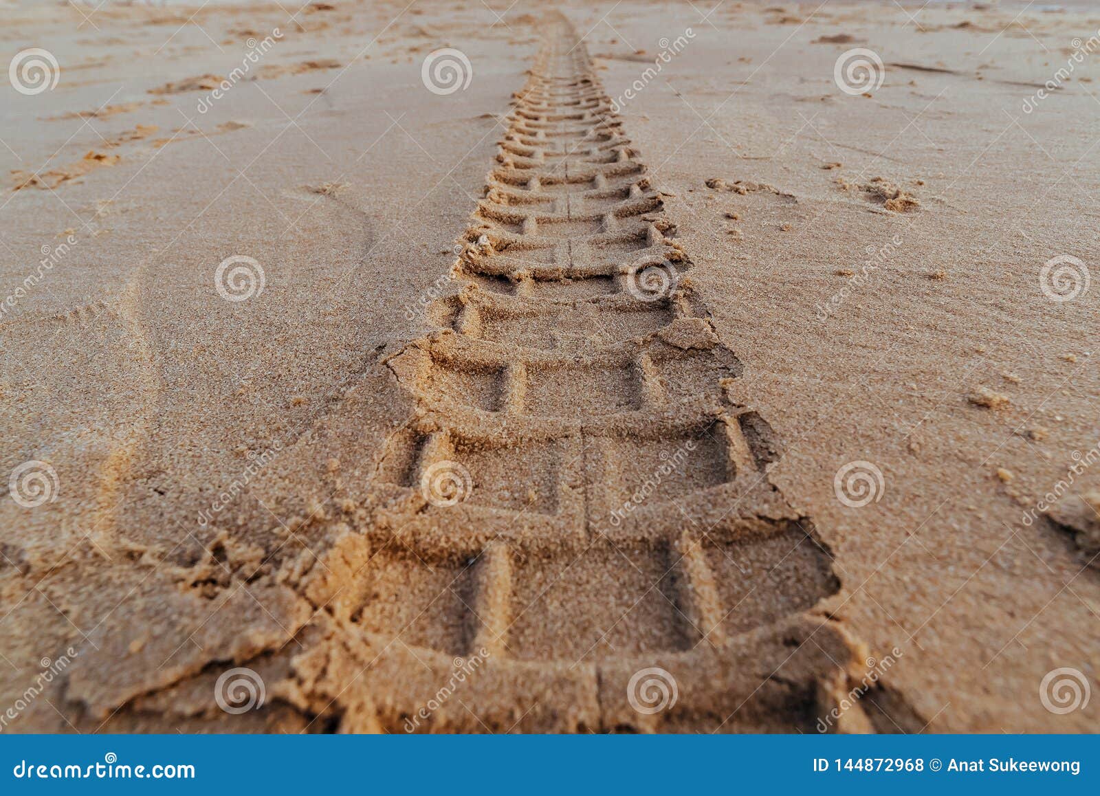 Motorcycle Tire Tracks on the Beach Stock Photo Image of vehicle