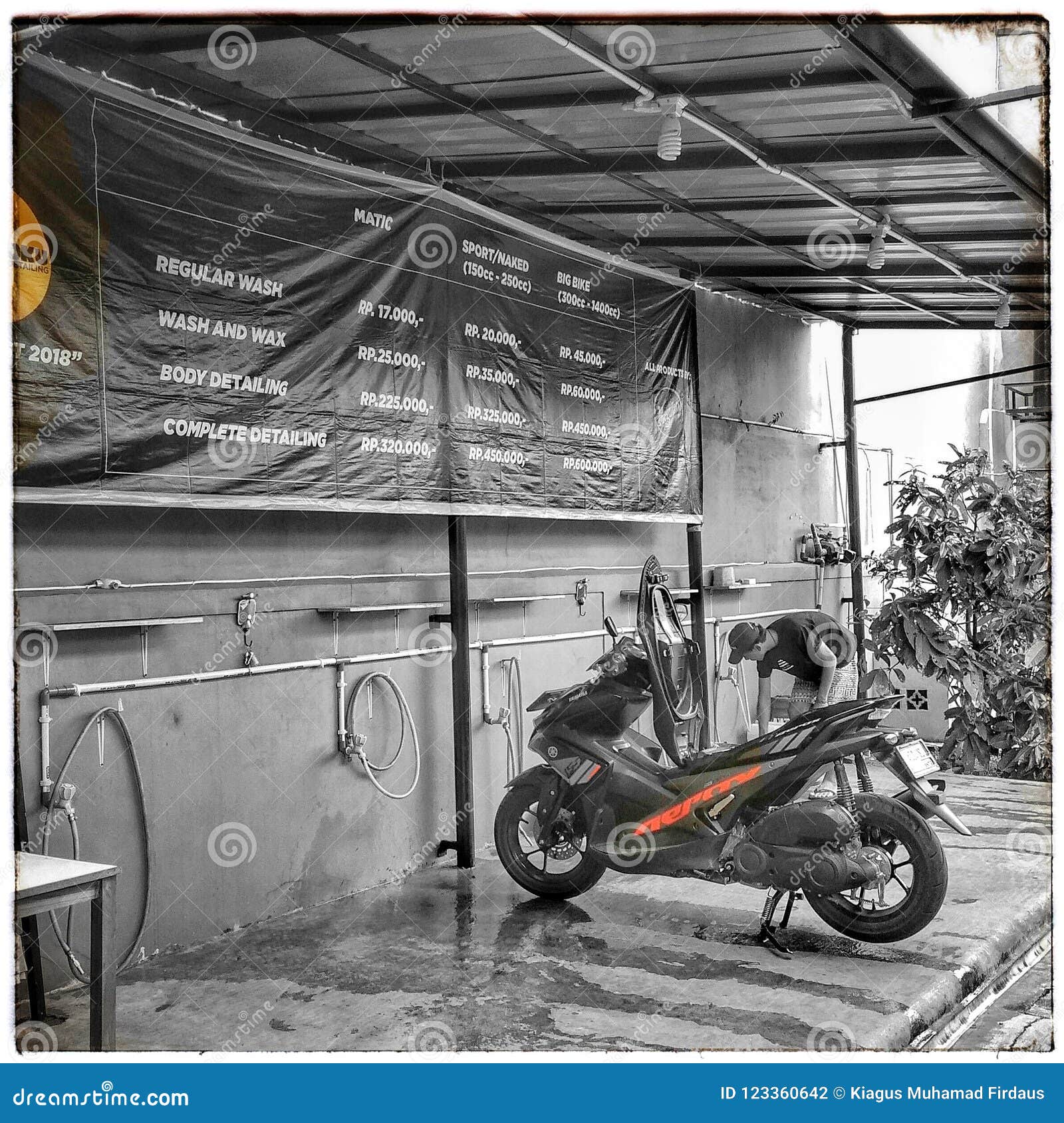 My Image 7