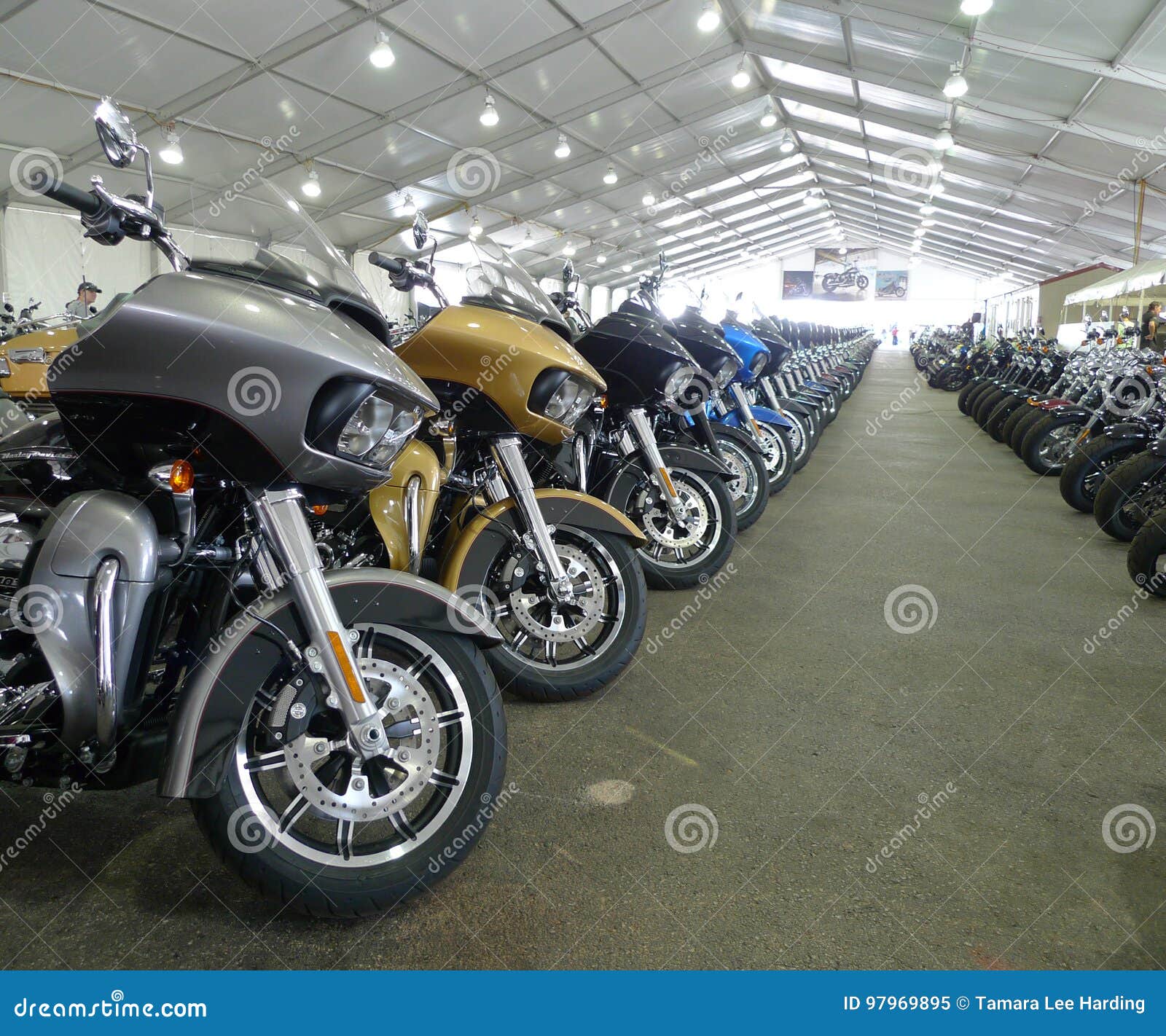 Motorcycles For Sale At Black Hills Harley Davidson Rapid City South Dakota Editorial Image Image Of City Offers 97969895