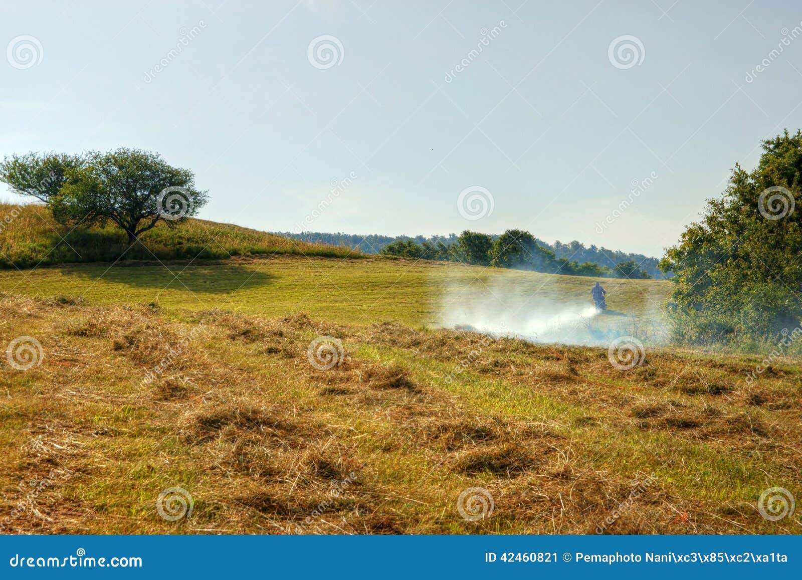 Motorrad-Reiter auf Morgen-Wiese. Motorrad-Reiter auf Bergwiese morgens