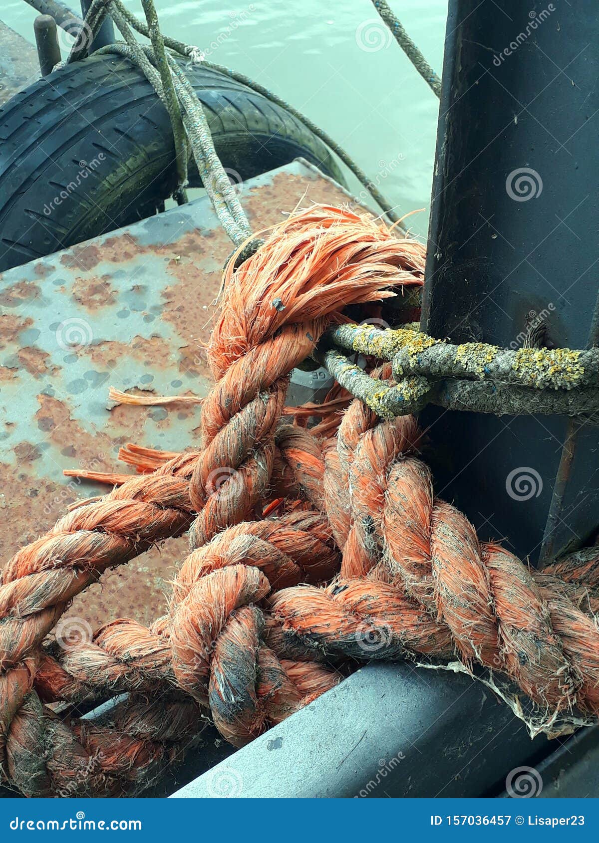 An orange marine knot stock image. Image of orange, anorange - 157036457