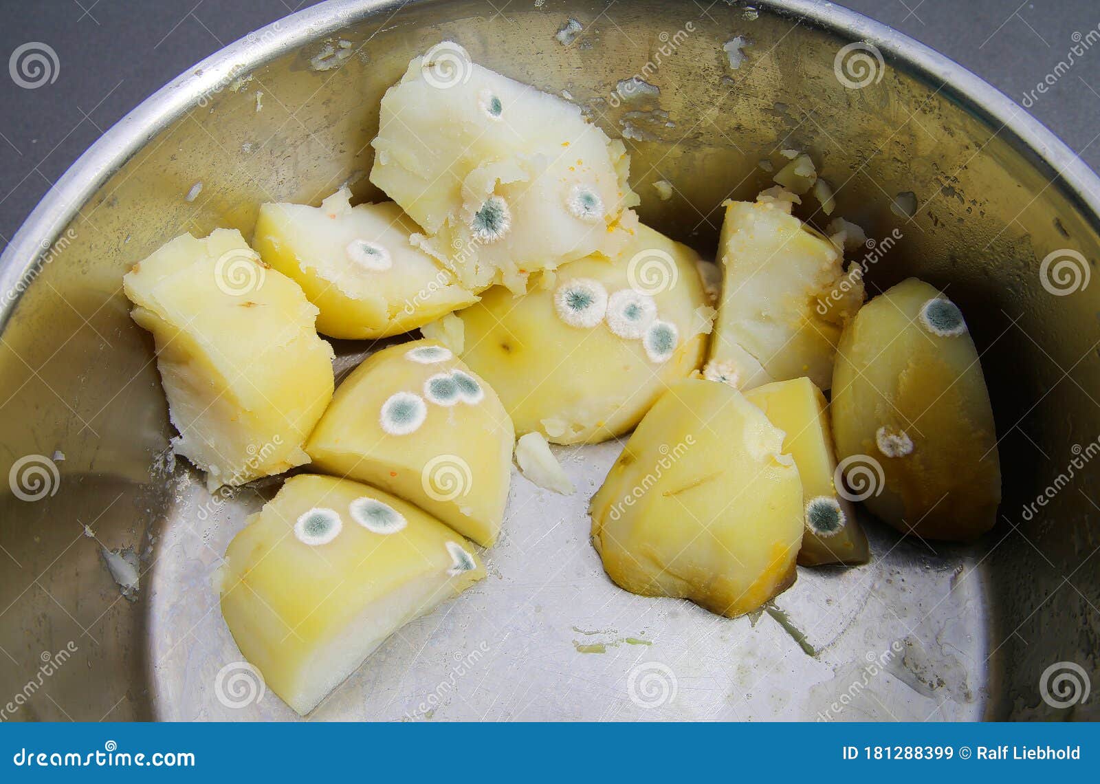Mould Infestation of Cooked Potatoes in Pot Stock Image Image of