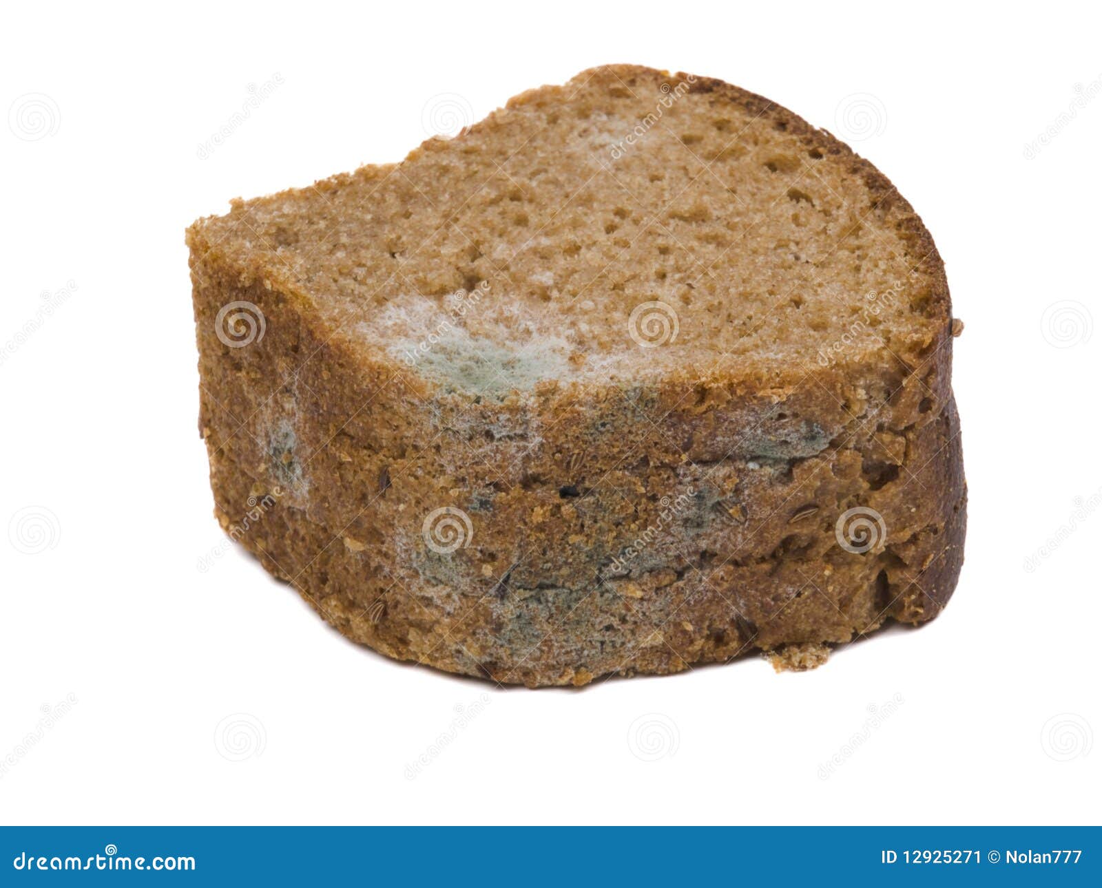 Mould on stale bread stock image. Image of illness, loaf 12925271