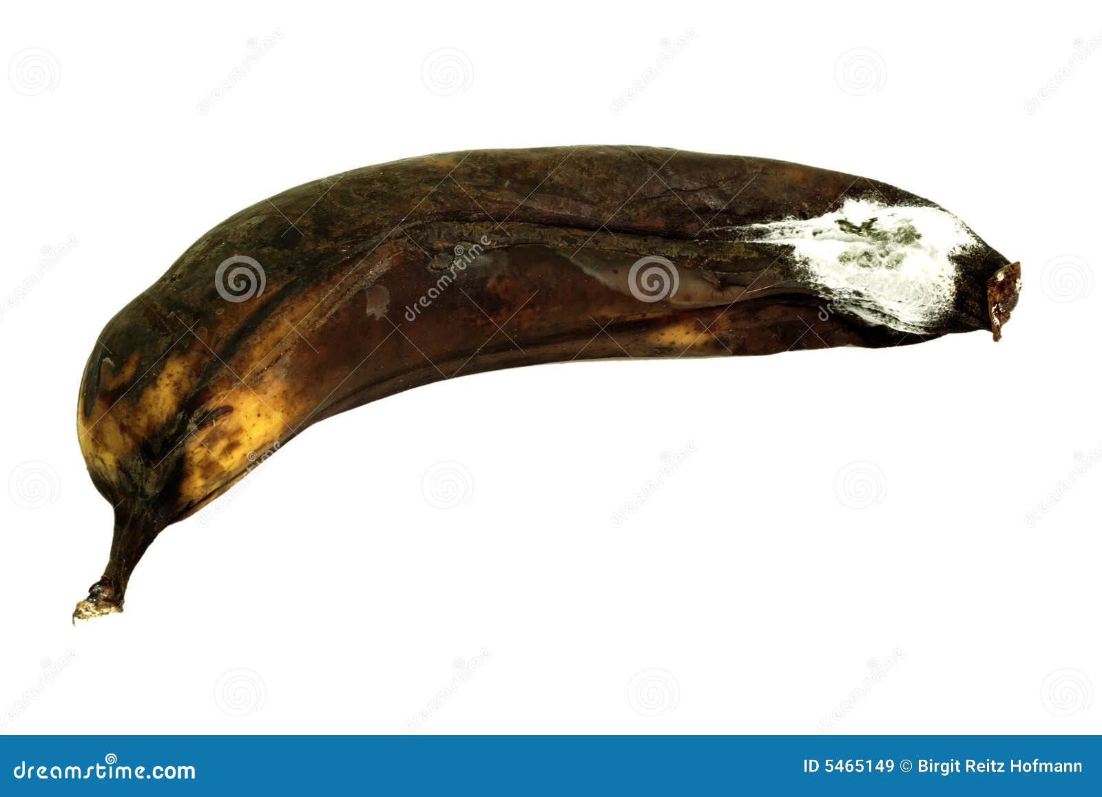 Mouldy Banana stock image. Image of fuzzy, leftover, contamination