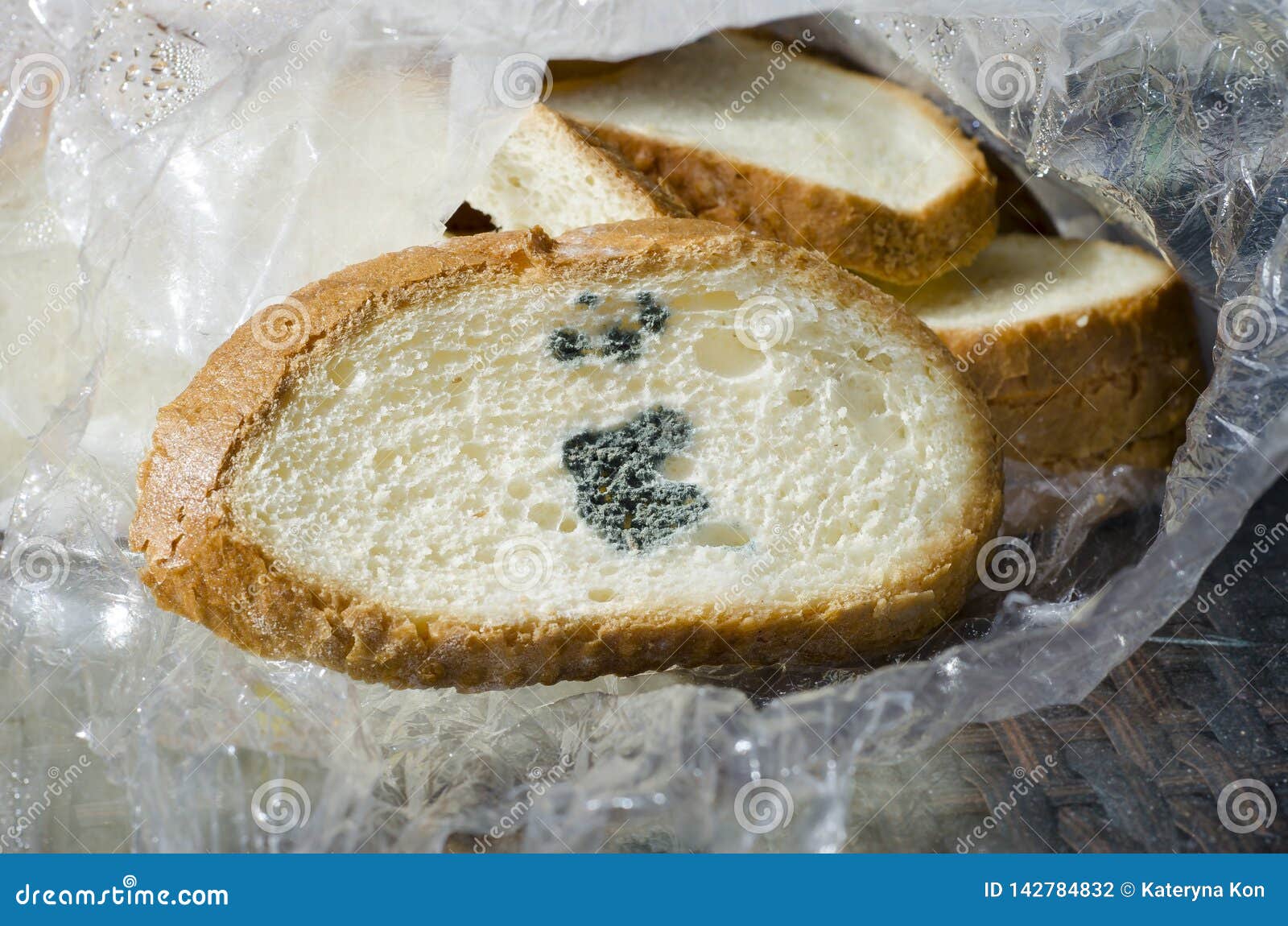Mouldy Bread Penicillium Mold Stock Photo Image Of Growth Slice 142784832
