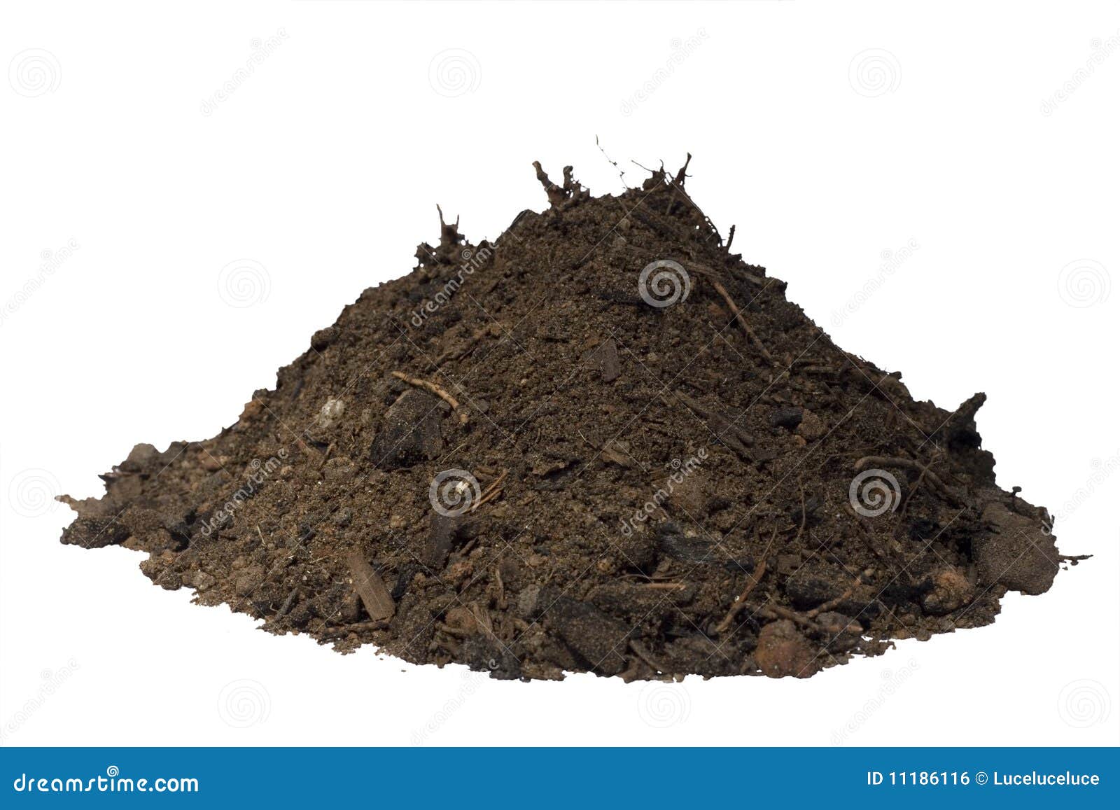 mound of soil 