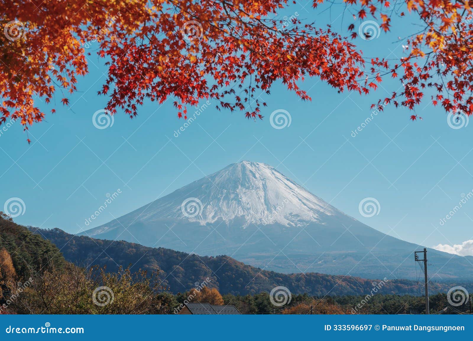 mount fuji view at saiko iyashino sato nenba in autumn season. mt fujisan in fujikawaguchiko, yamanashi, japan. landmark for