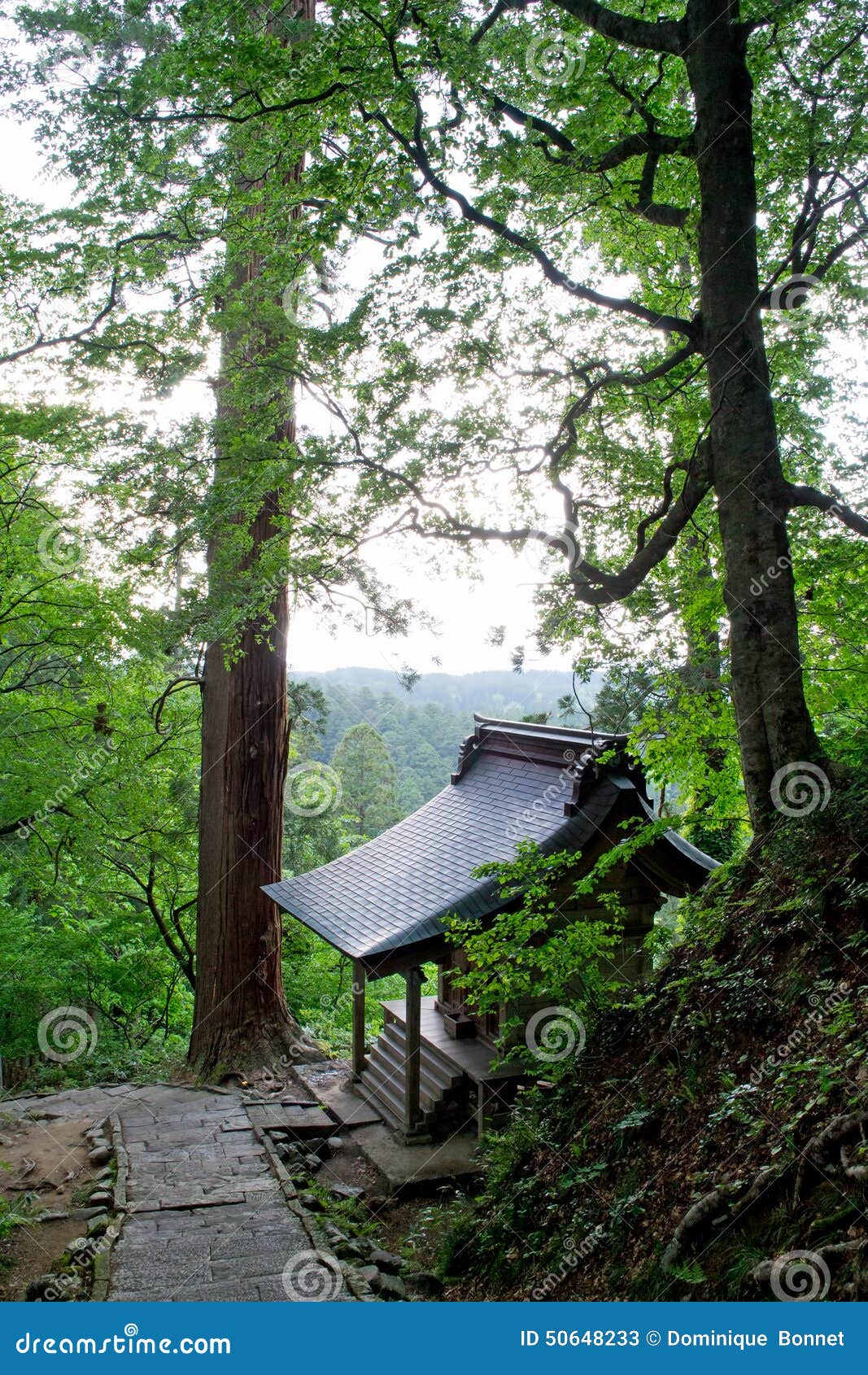 Mount haguro,sacred place. Mount haguro,Tsuruoka city,Yamagata prefecture in japan. 2446 stairs leading up Mount Haguro. Steps and the Pagoda are listed as National treasures. Sacred place with 600 years trees and pagoda,where many tourists and pilgrims come every year.