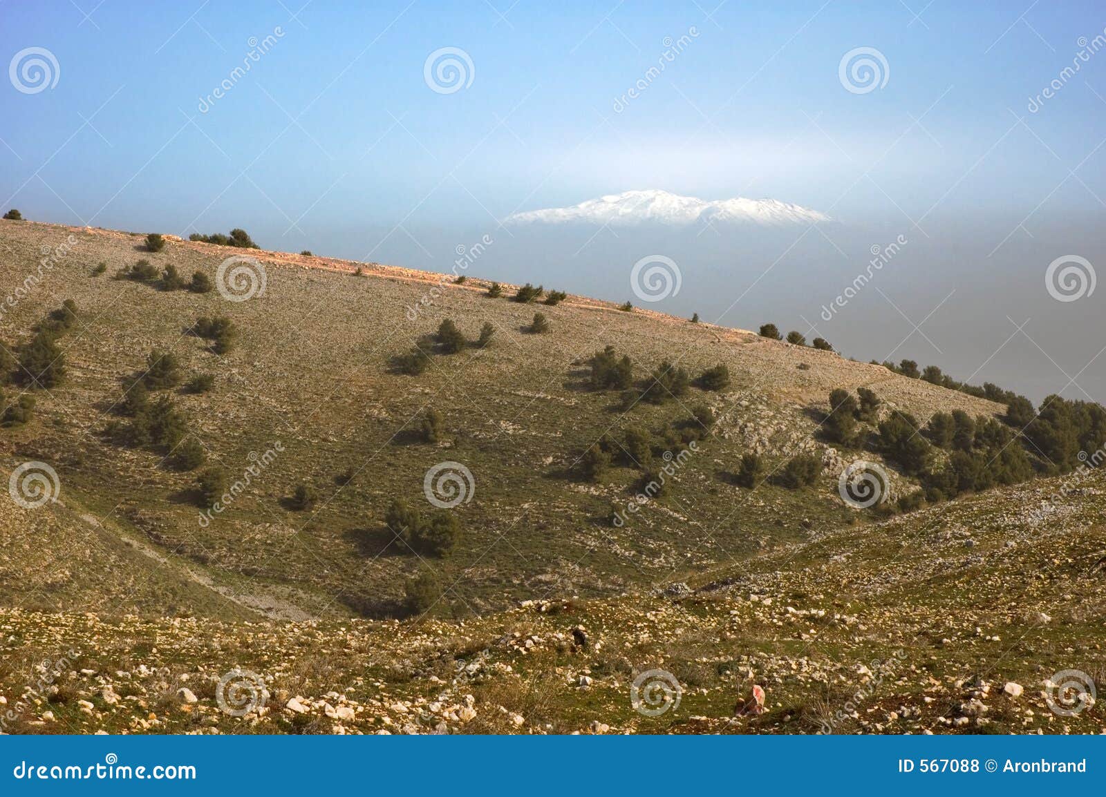 Mount Hermon stock photo. Image of snowy, hermon, zefat 567088